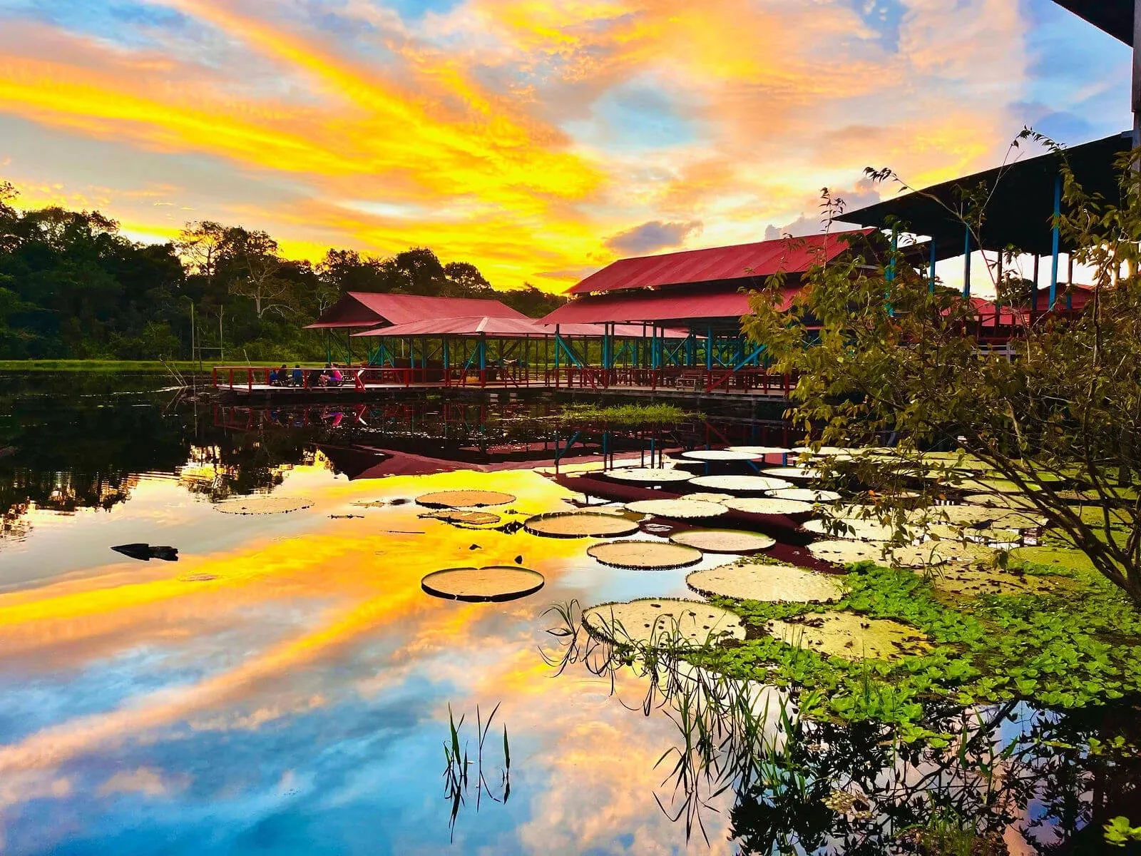 Amazonas Express Plan - Kolumbien