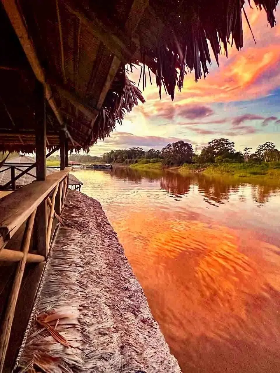 Amazonas Plan Ventura Without Borders - Colombia