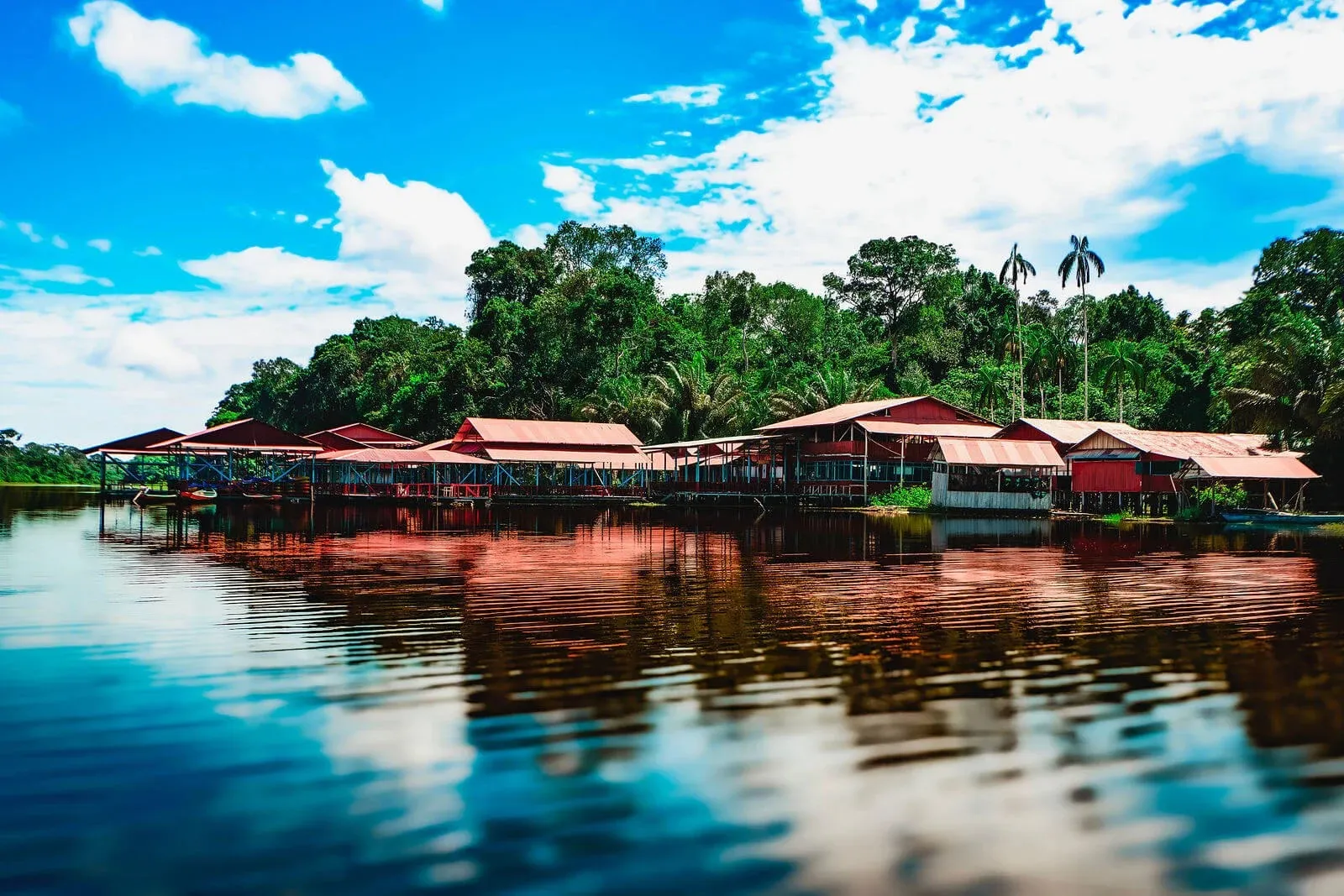 Plan Amazonas Arara - Kolumbien