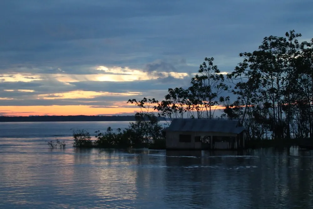 Amazonas Arara Plan - Colombia