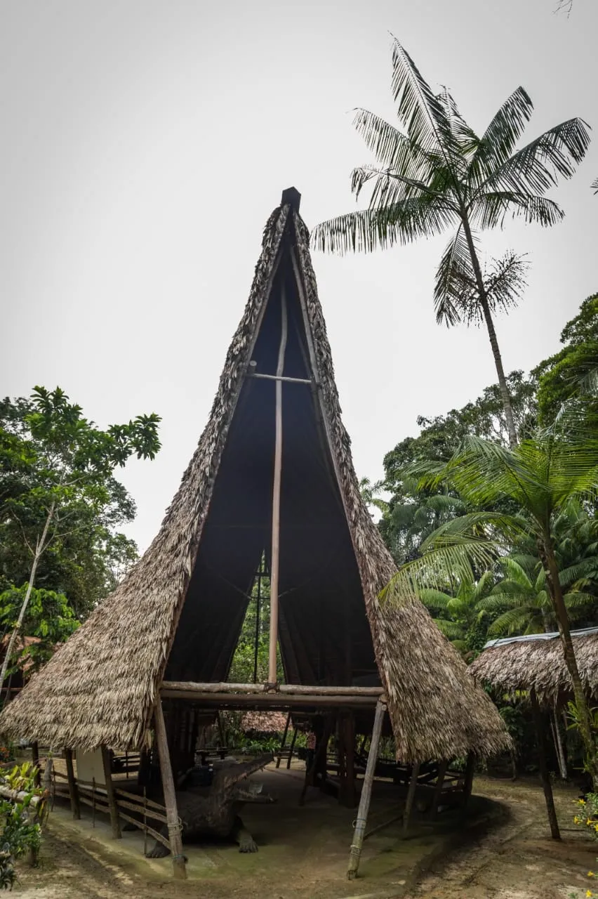Tanimboca Reserve (Treehouse/Glamping)