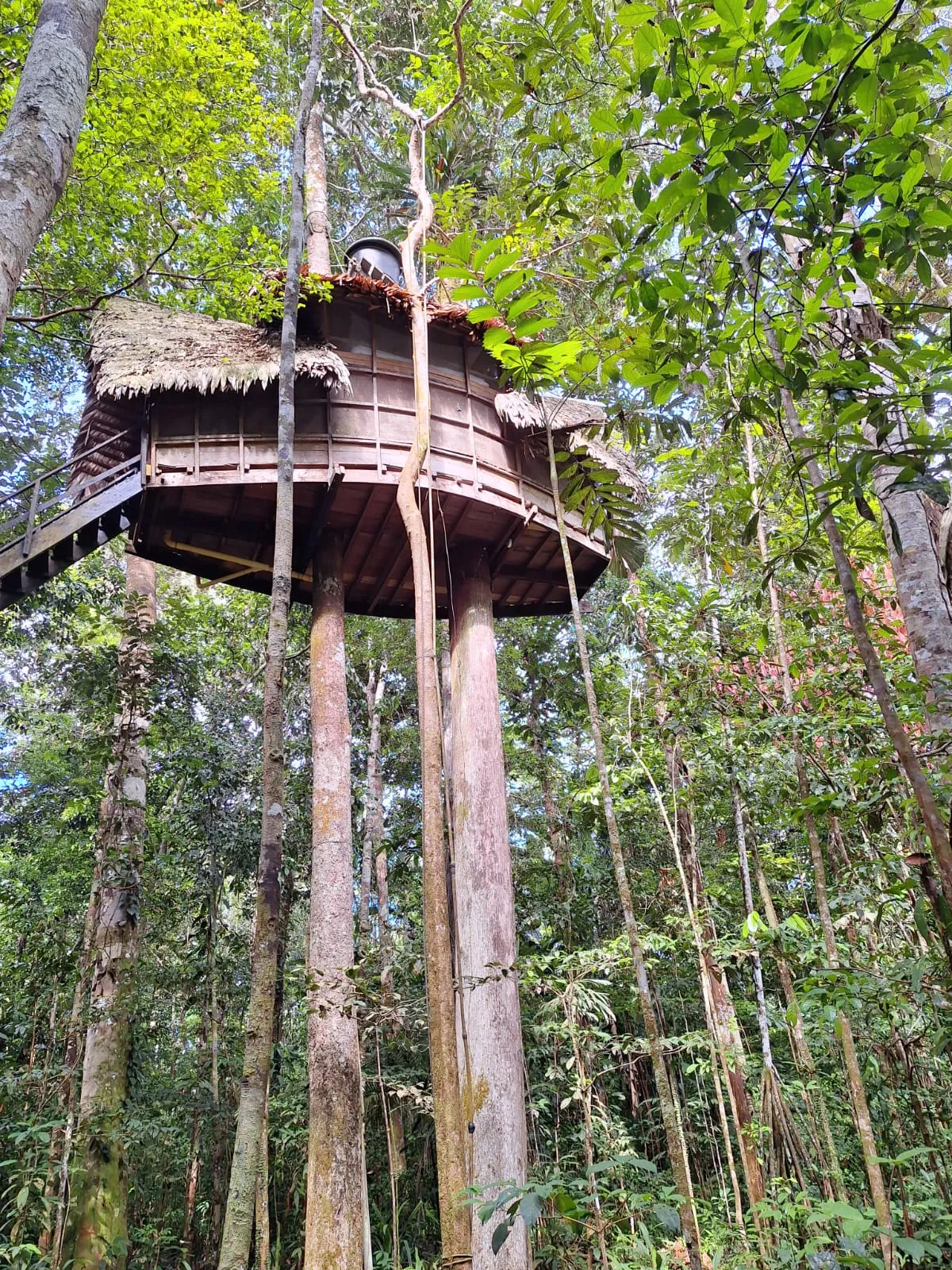 Amazonas-Naturschutzgebiet Plan A - Kolumbien