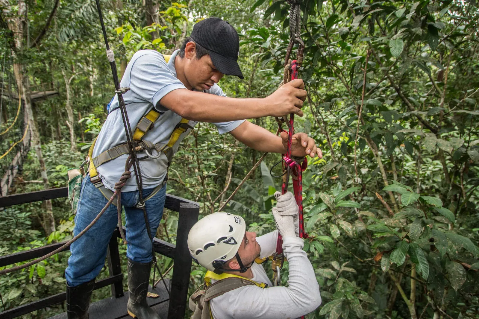 AMAZONAS 8D-7N PLAN A- Kolumbien