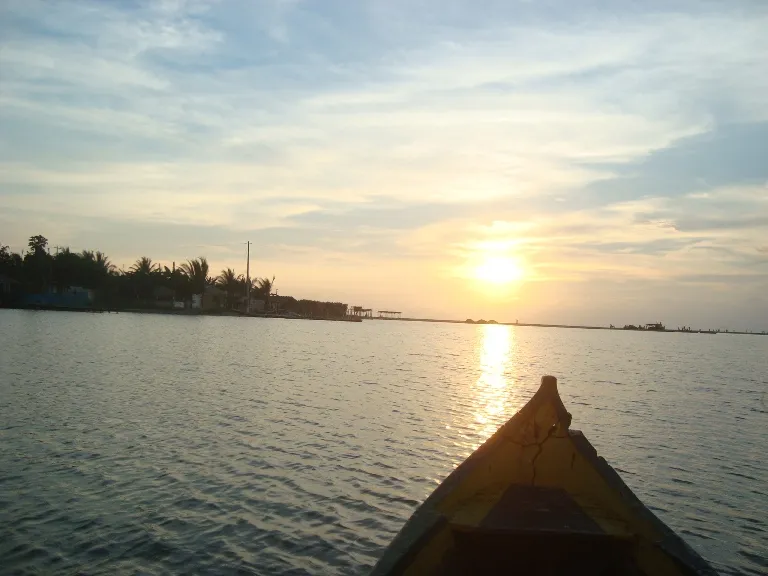 La Boquilla Mangroven