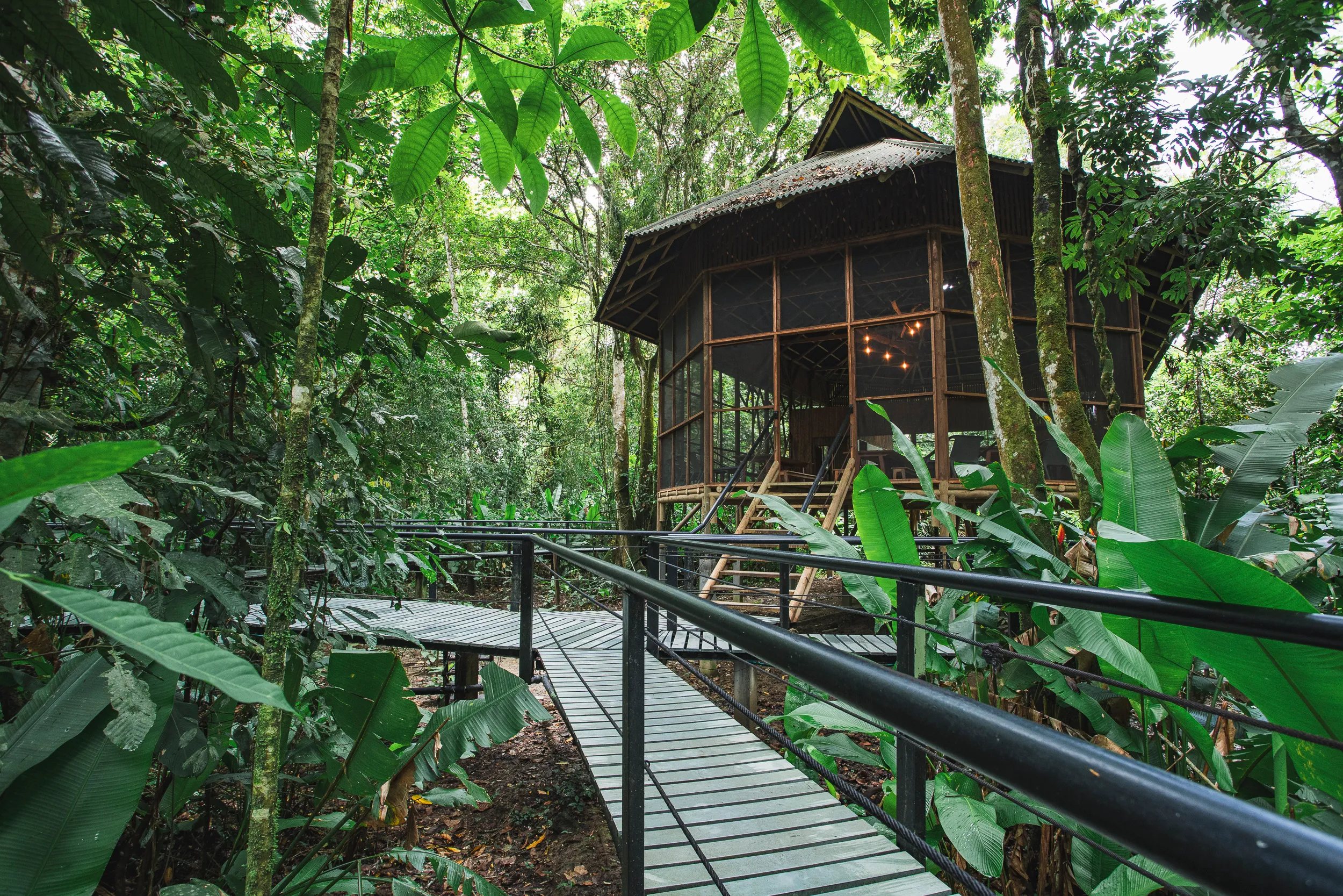 Farewell to Natural Paradise