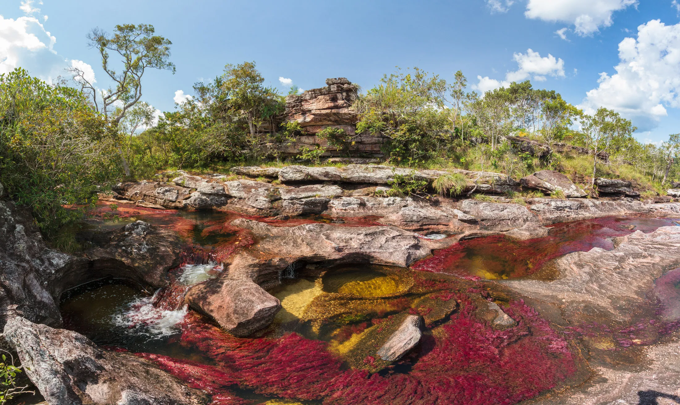 Adventure in the Heart of Caño Cristales