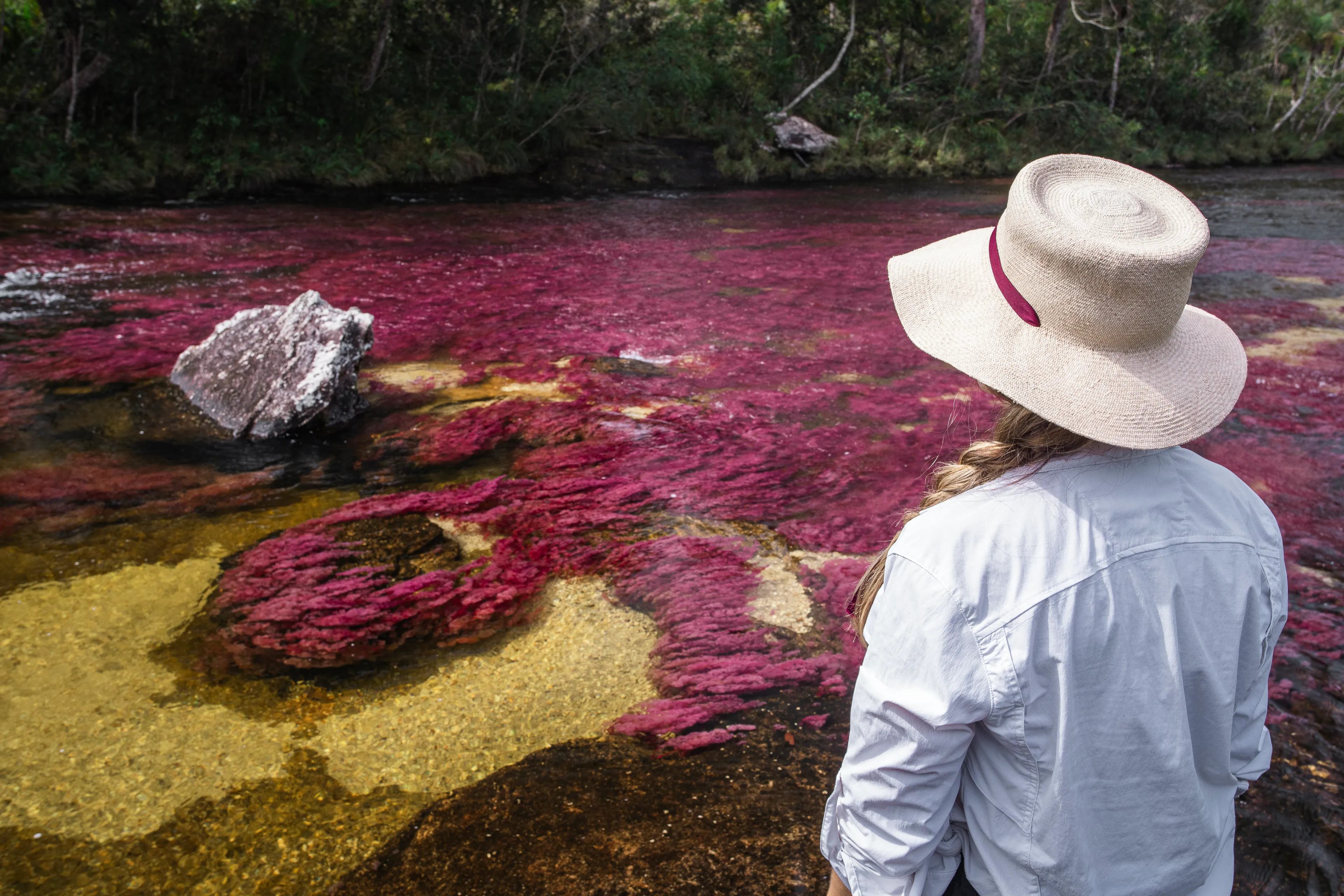 Caño Cristales