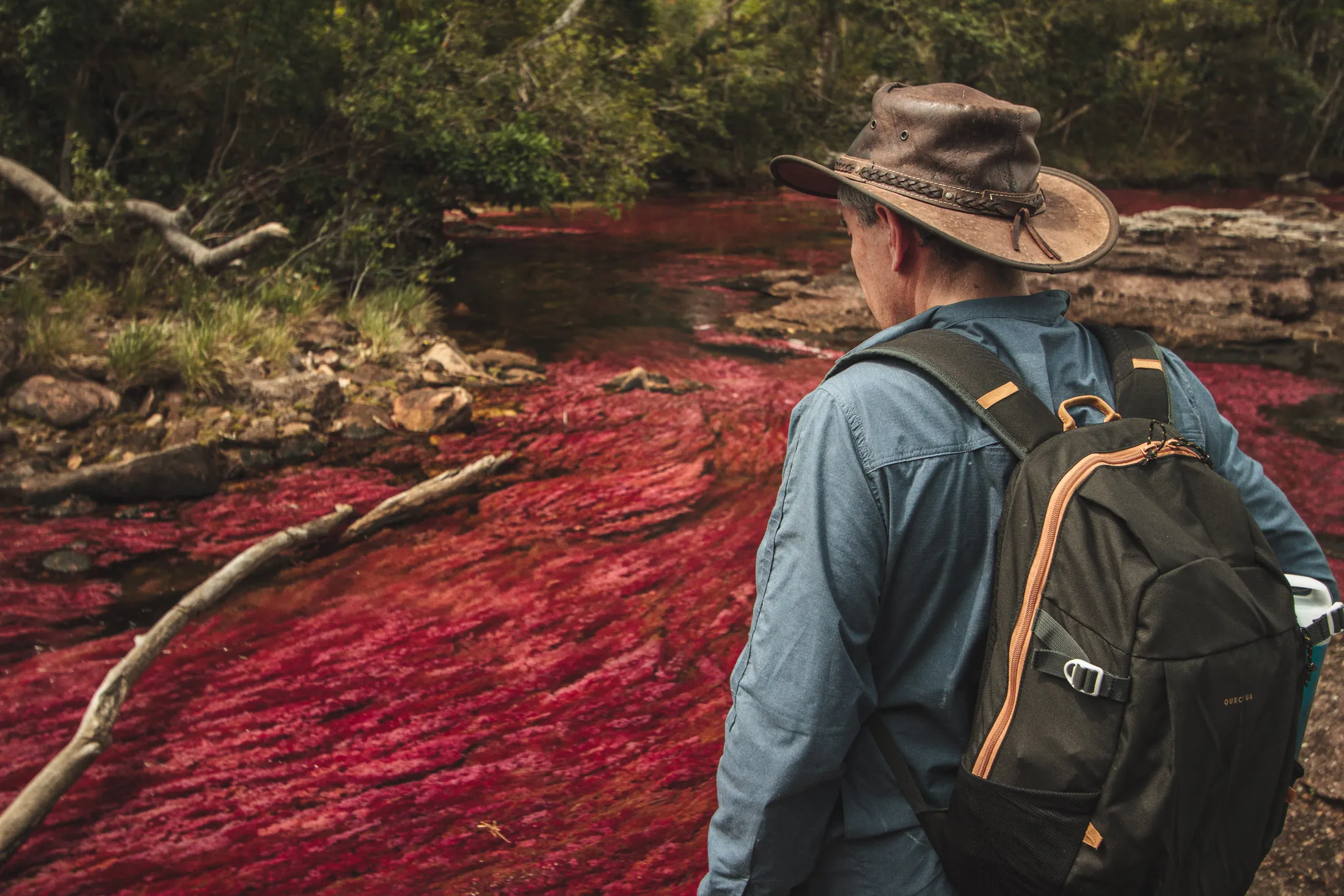 Caño Cristales