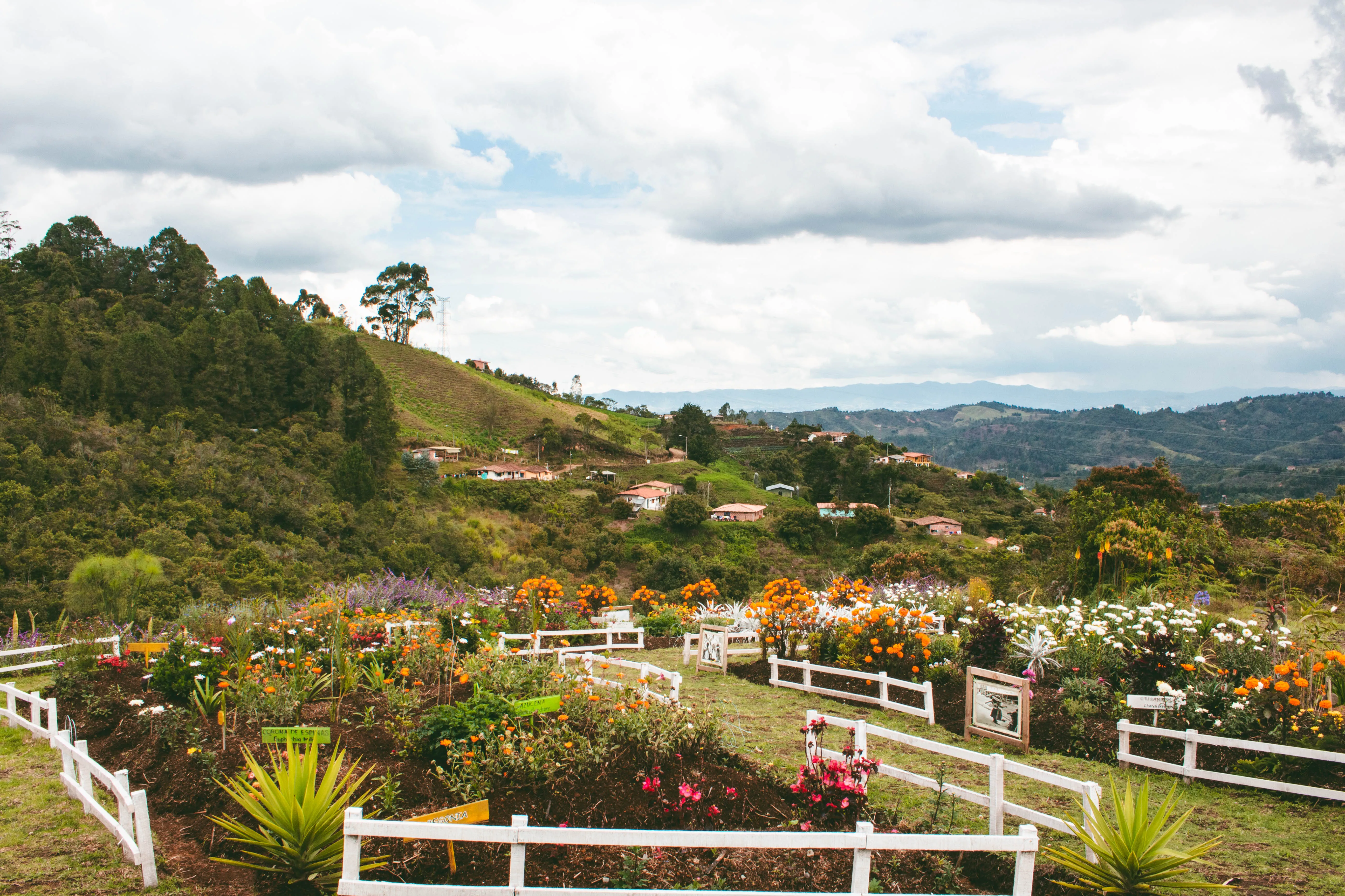 Medellín Reborn: Art, Flowers, and Salsa-5 Days Medellin #2 - Colombia