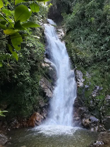 Medellín on Three Levels: Ground, Water, and Air-5 Days Medellin #4 - Colombia