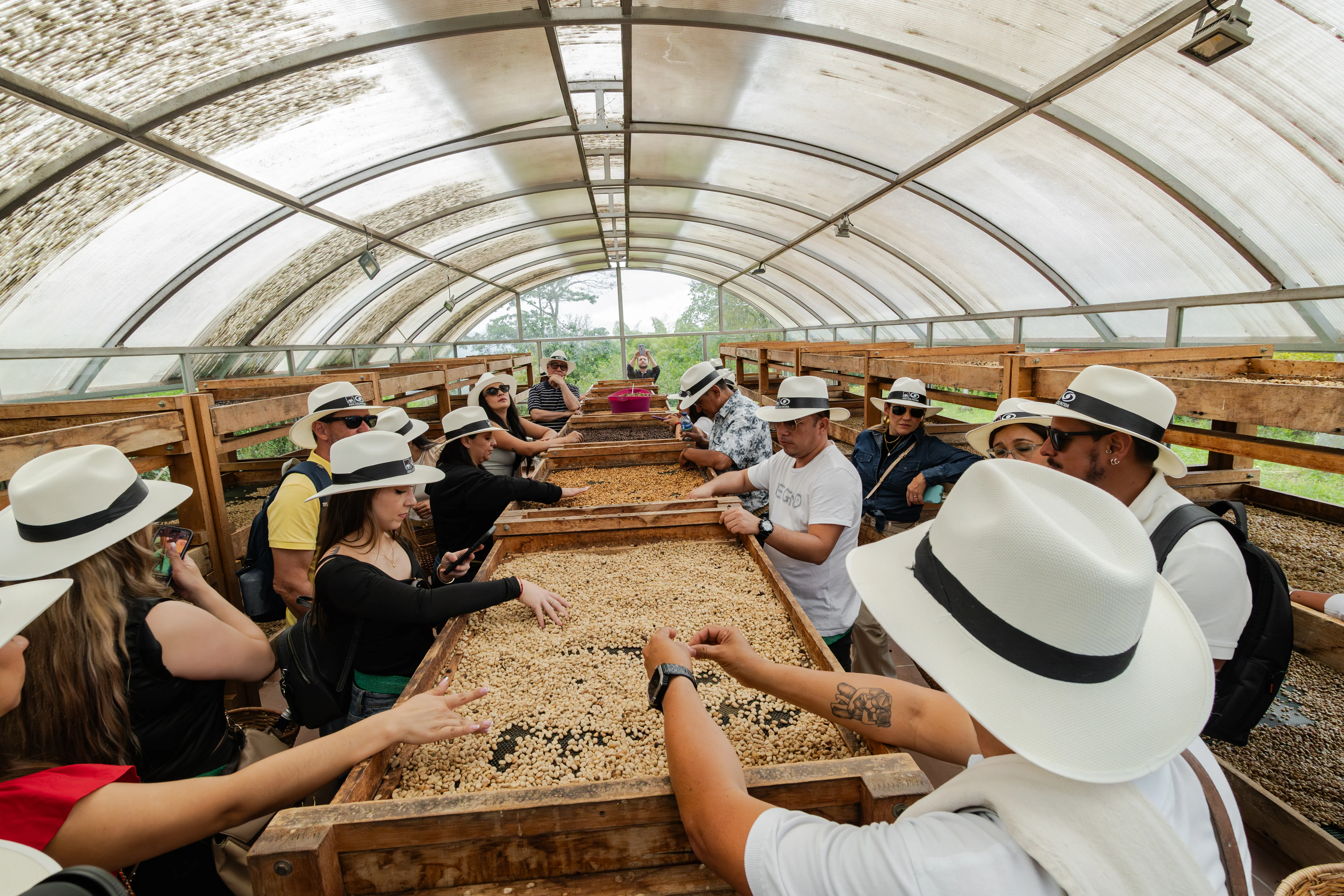 Quindío: Adventure and Coffee in the Andes flavors of the Coffee Region -5 Quindio #3 - Colombia
