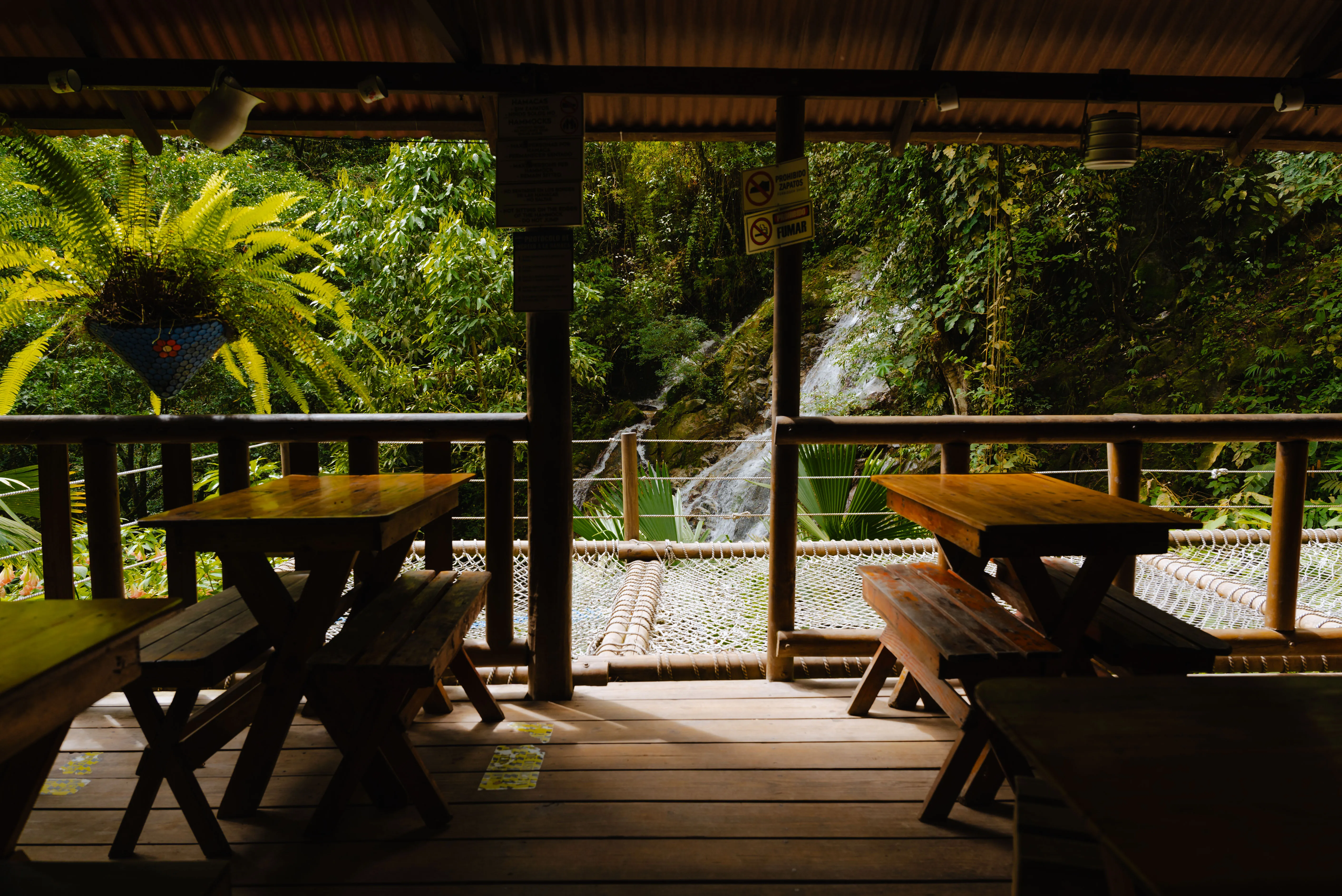 Coffee Tour and Waterfalls in Minca