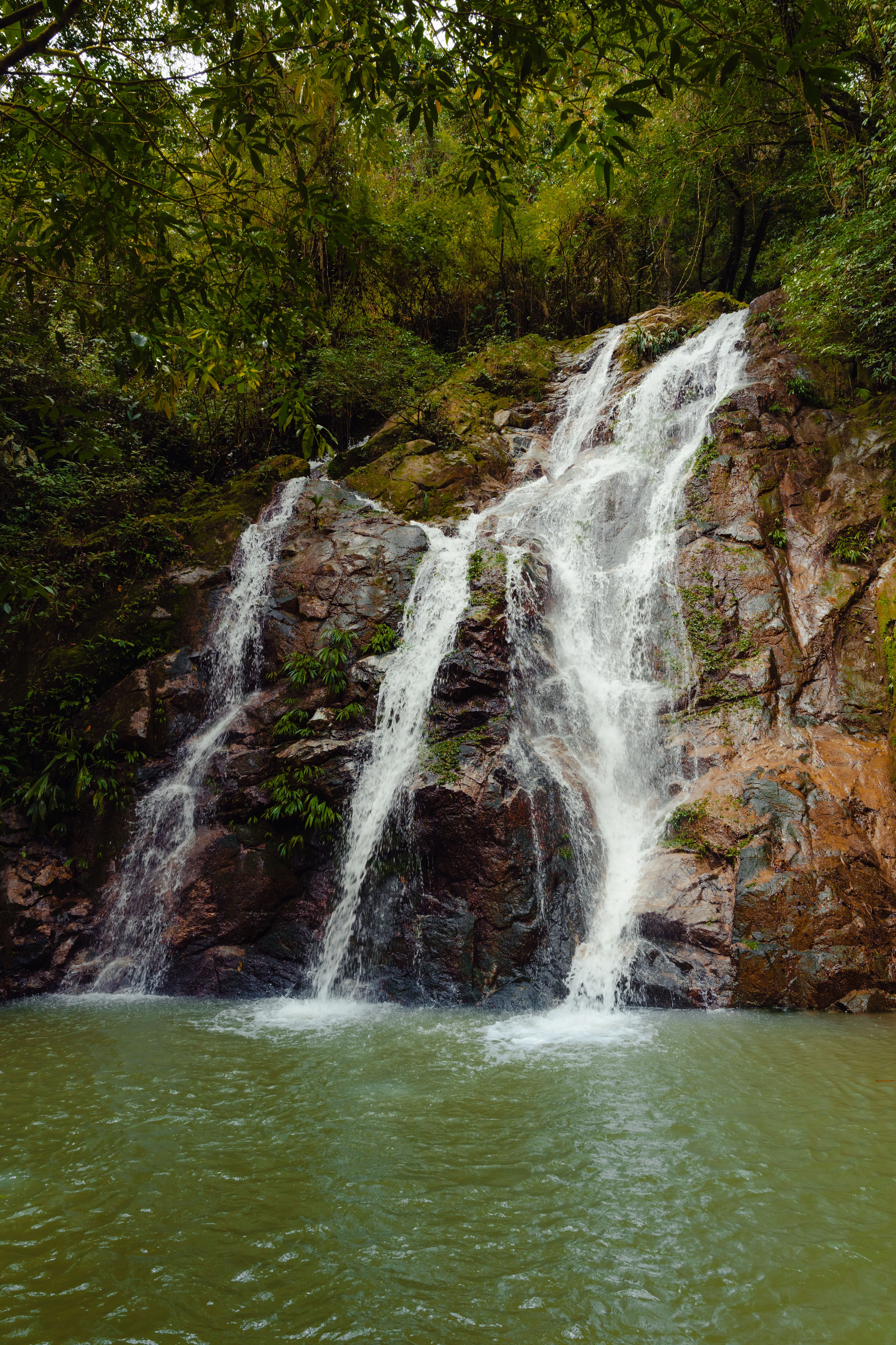 Cascades de Minca