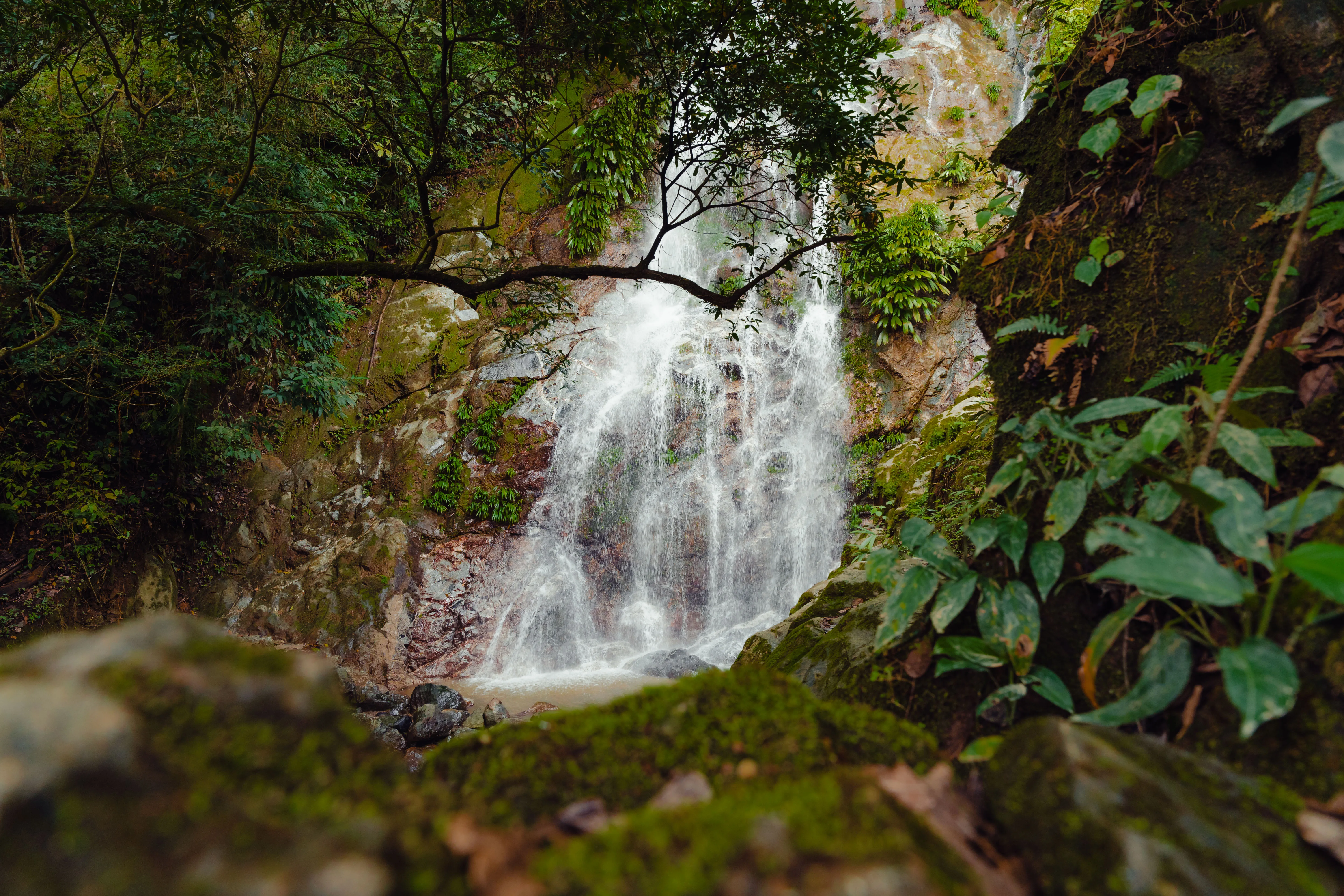 Coffee Tour and Waterfalls in Minca