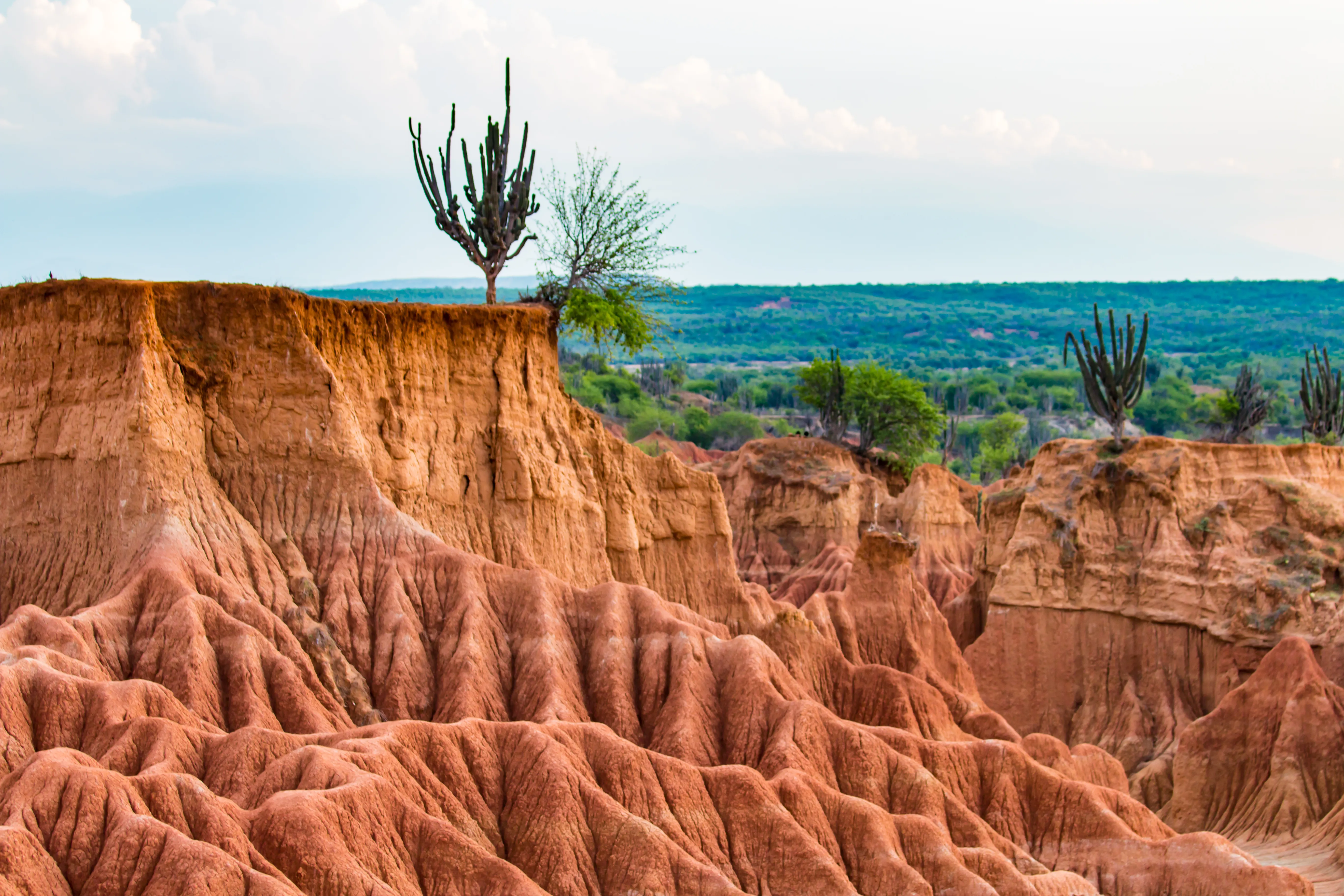 Desierto de la Tatacoa (Huila).