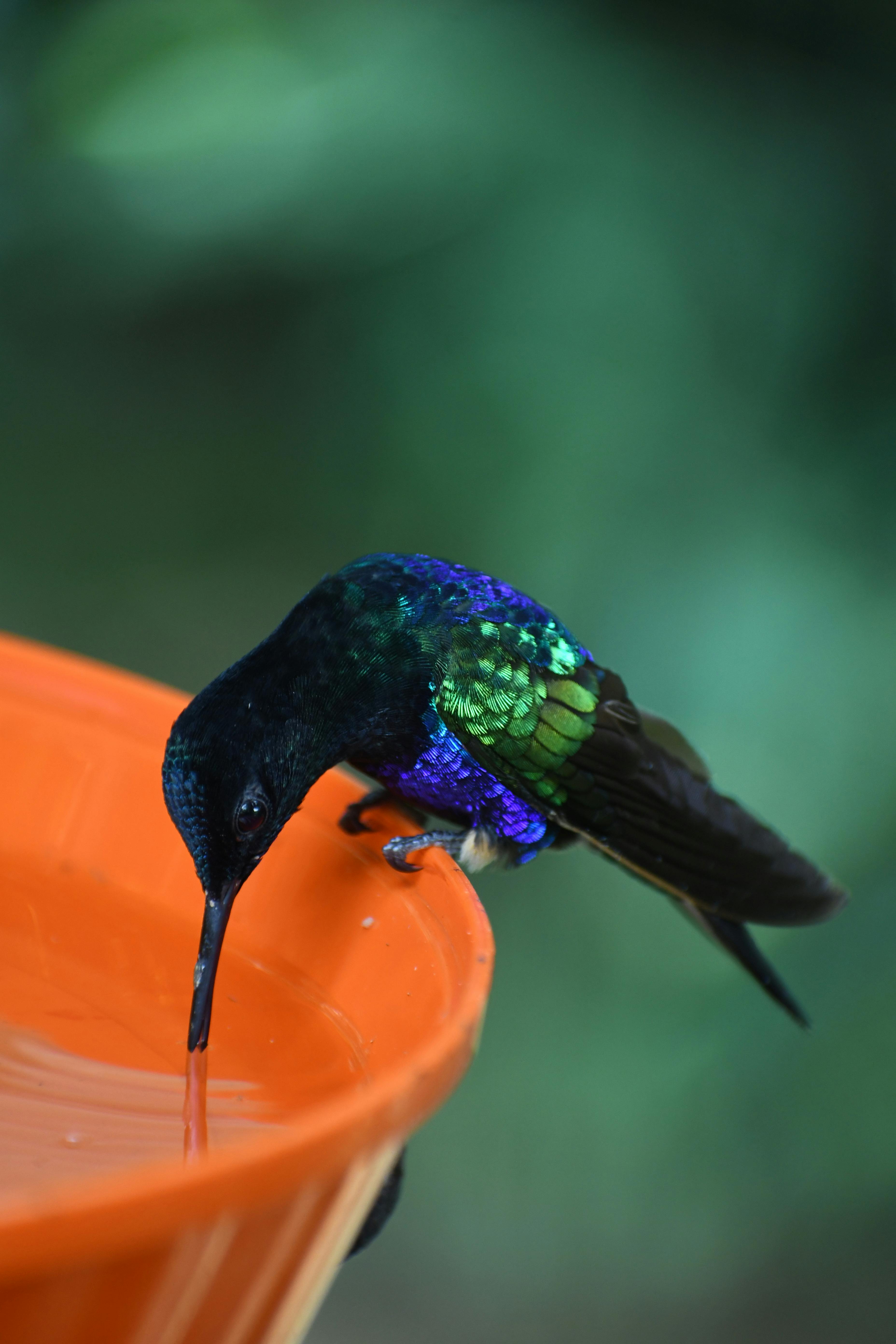 Tour Experience in the heart of South America - Ecuador