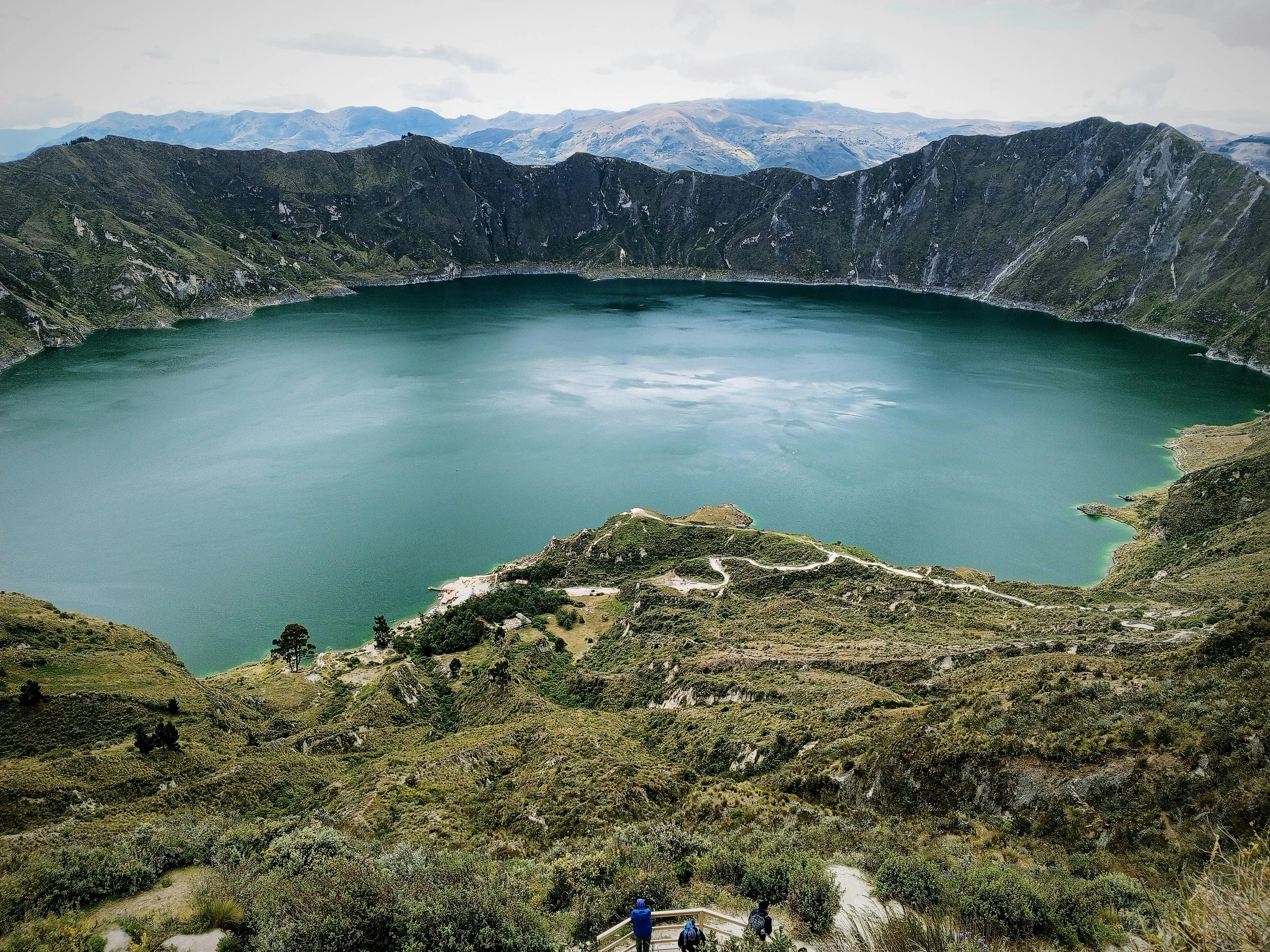 Northern Birding Tour - Ecuador