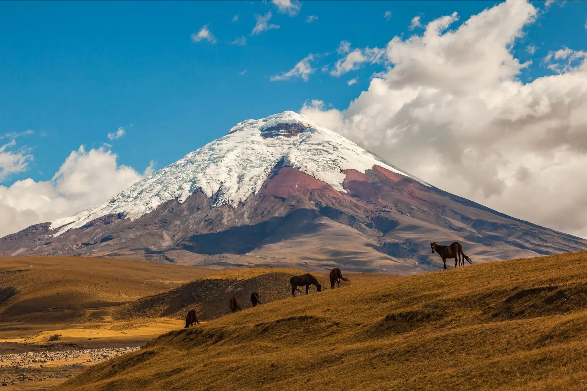 Equador