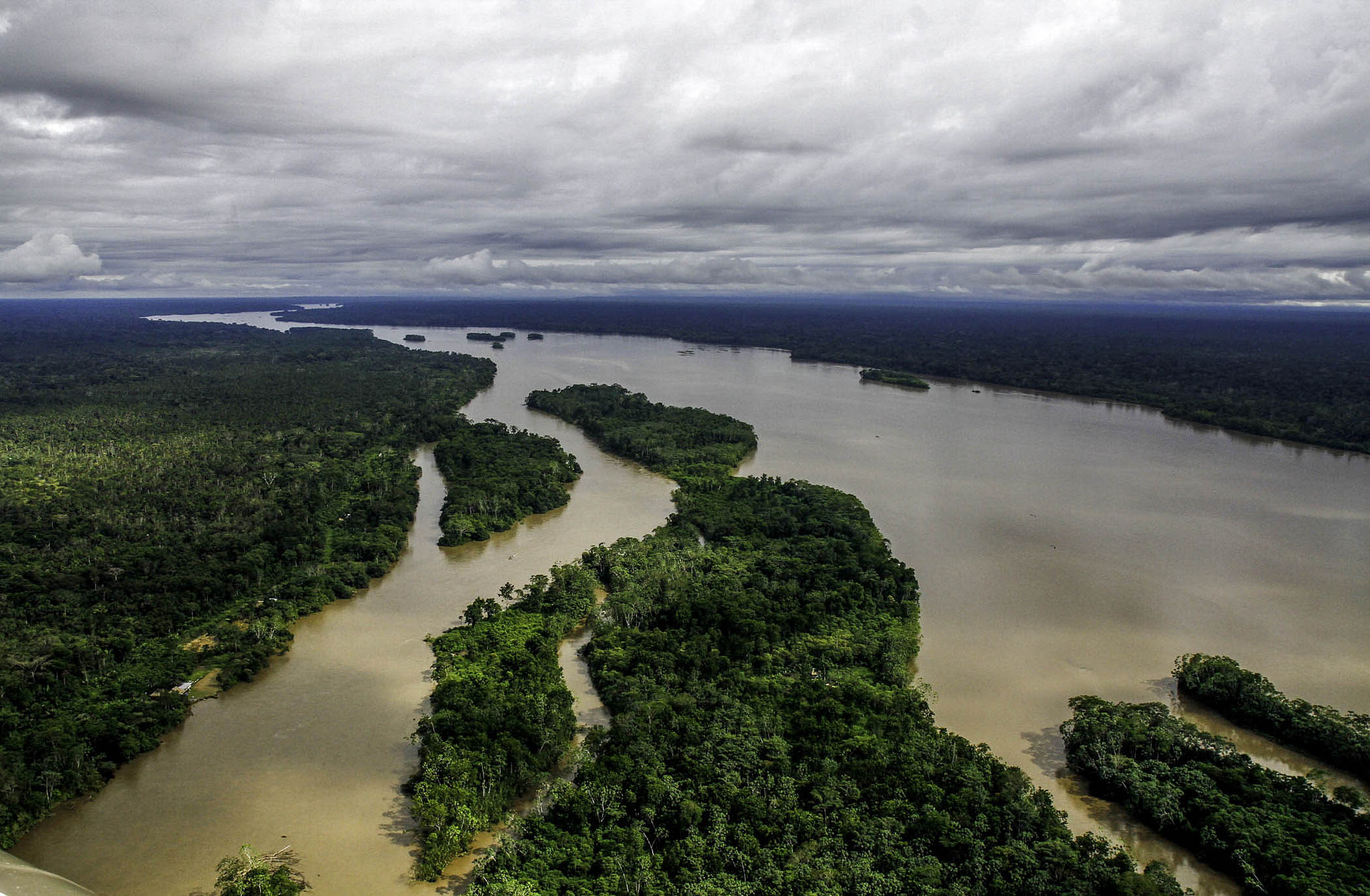 Yasuni