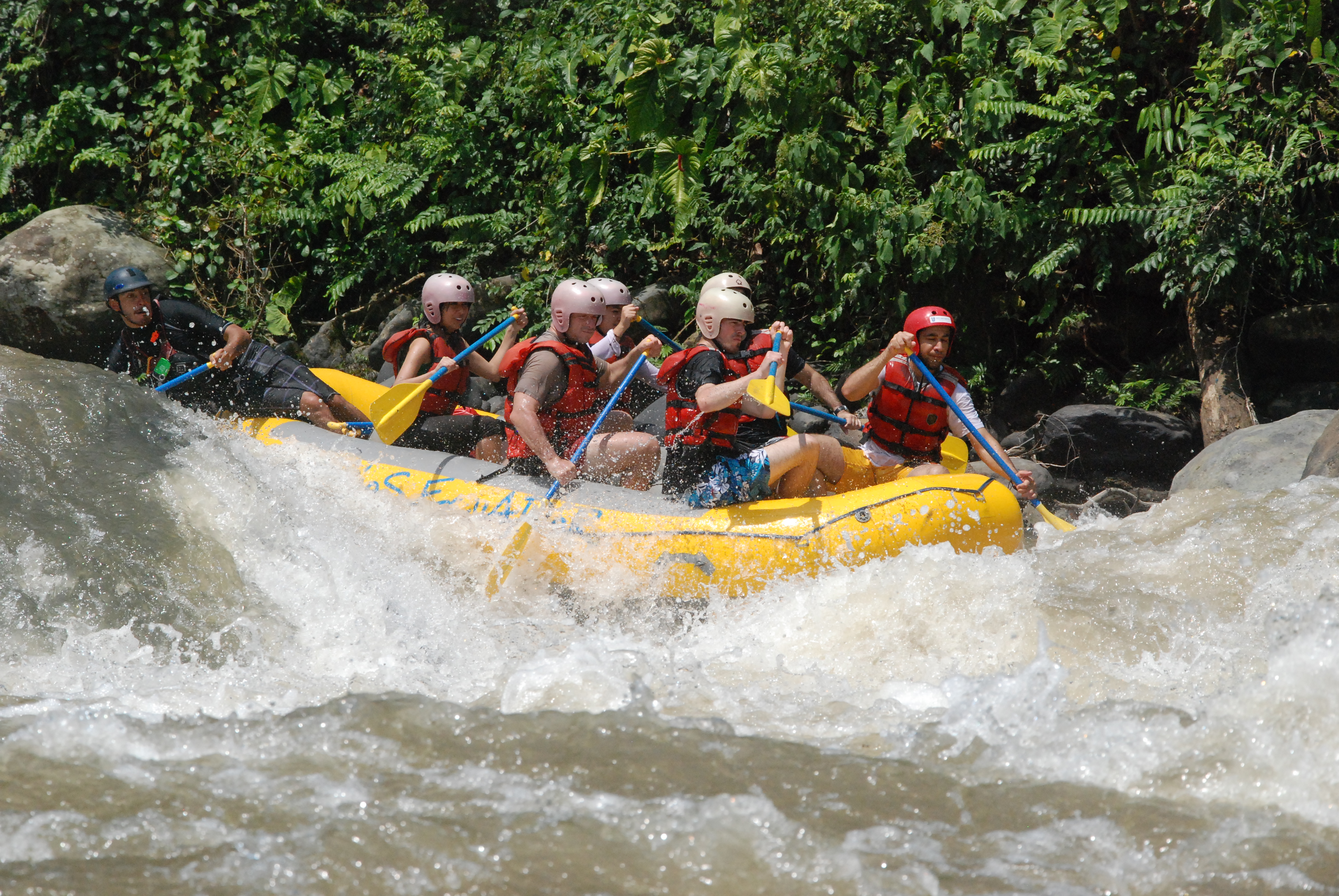 Active Wellness Tours