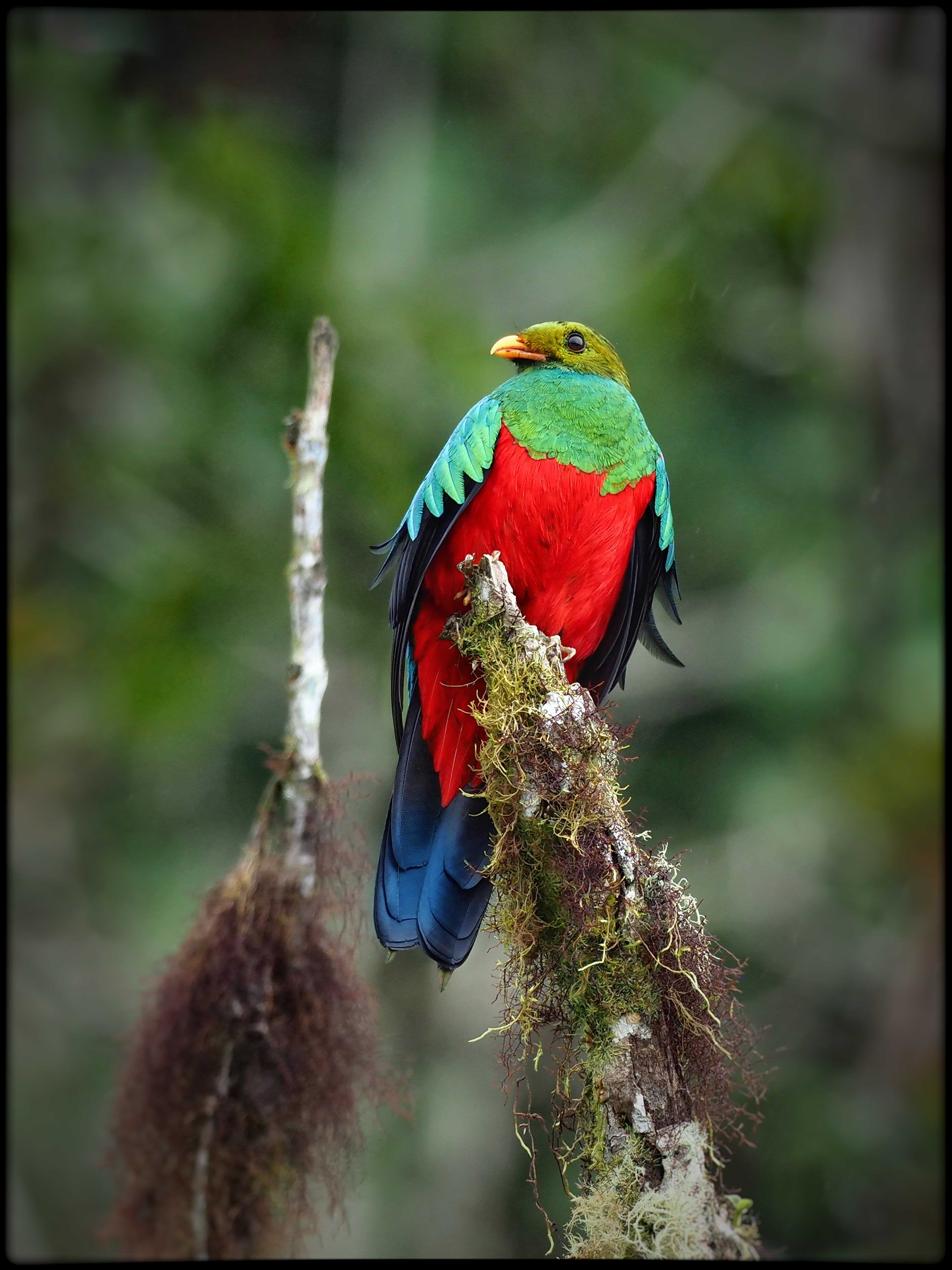 WILDLIFE & NATURE Experience