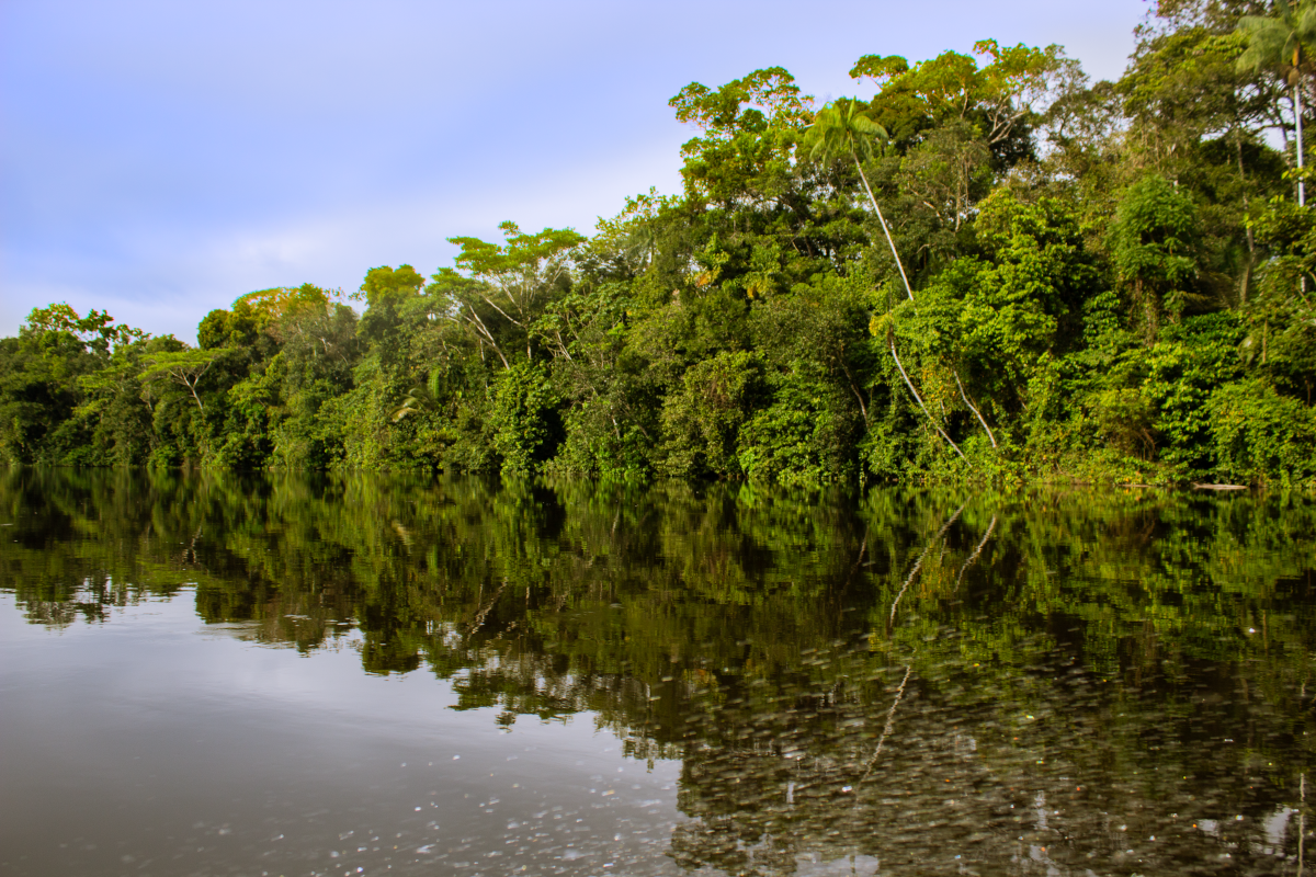 Traditional Canoes Experience