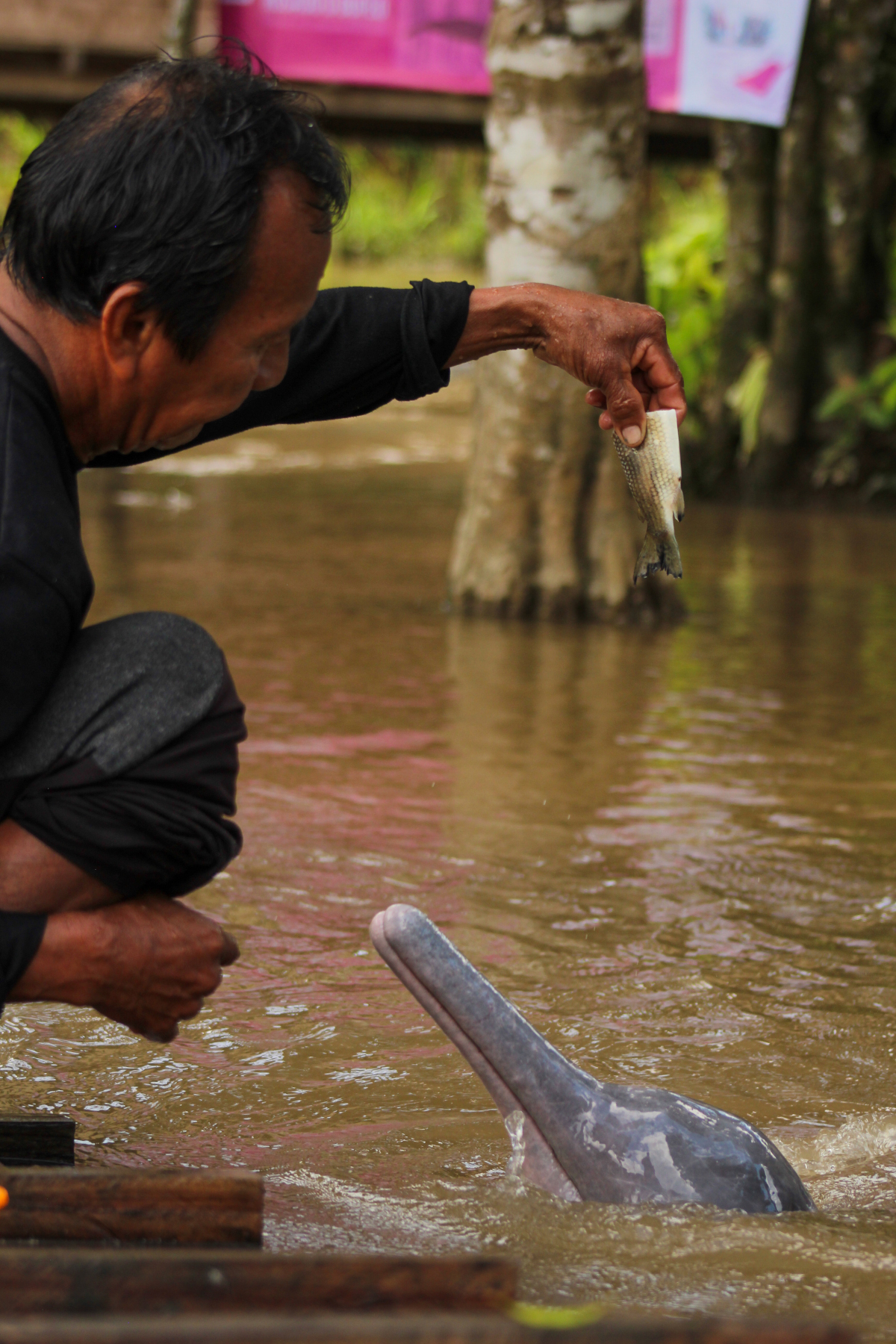 Traditional Canoes Experience