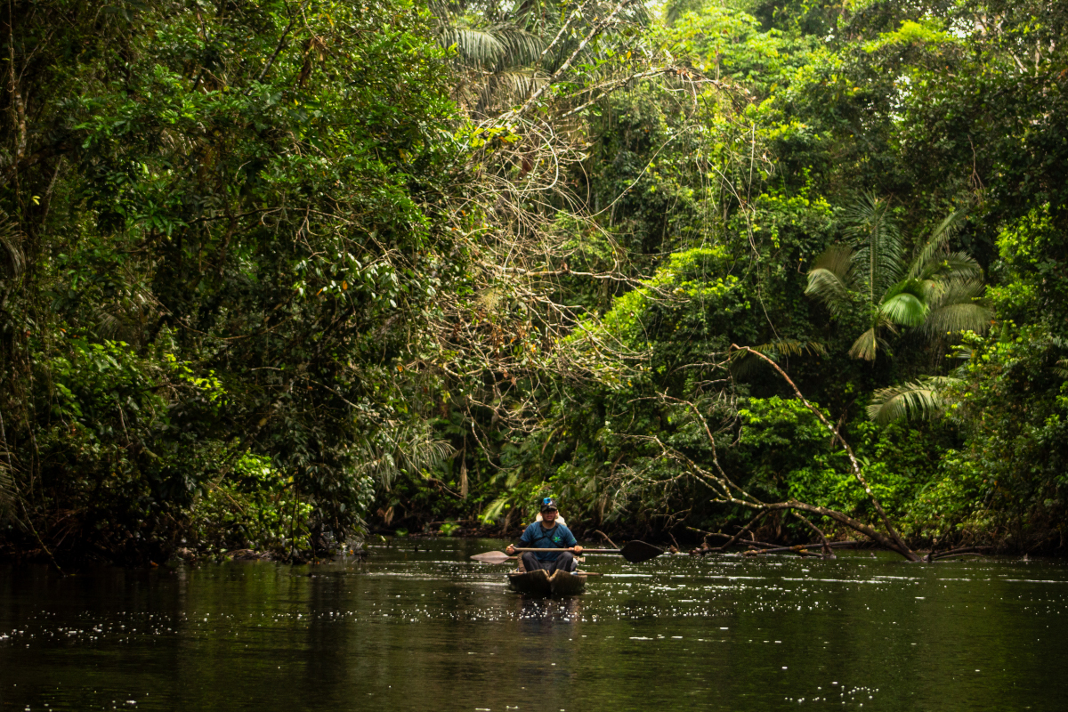 Traditional Canoes Experience