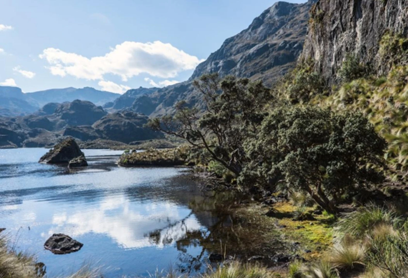 Cajas National Park