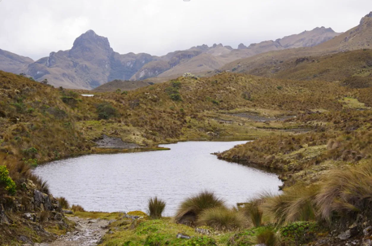 Ecuador Avenue of Volcanoes 12 Days