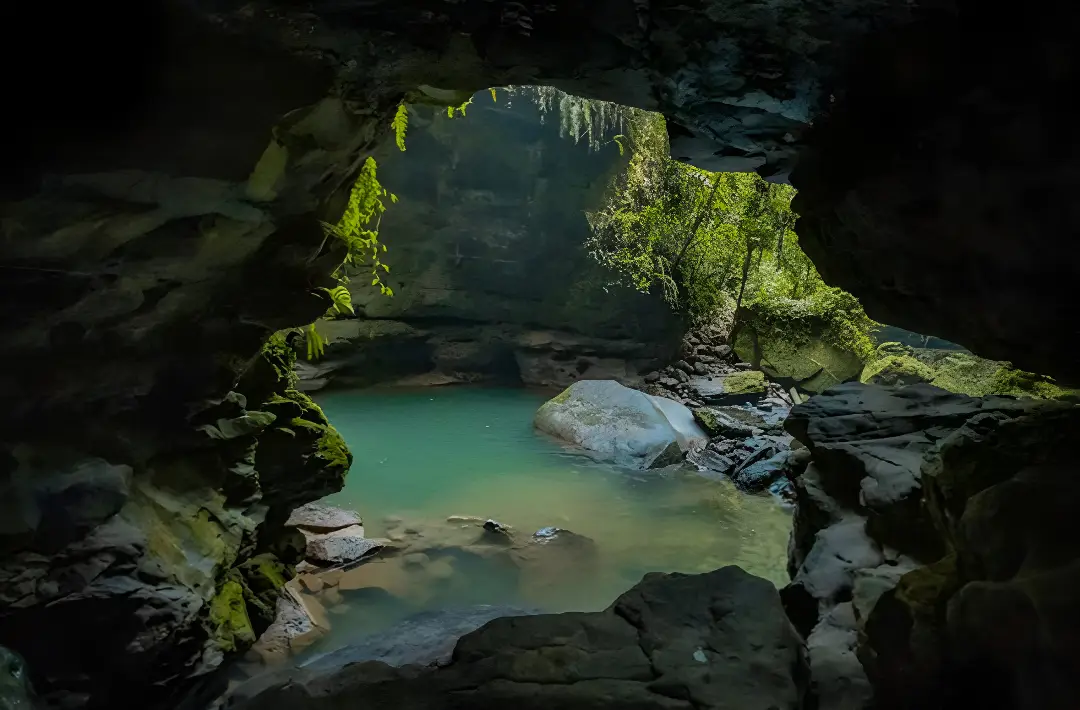 Ecuador Amazon Adventure Tour 4 Days at Hakuna Matata Lodge