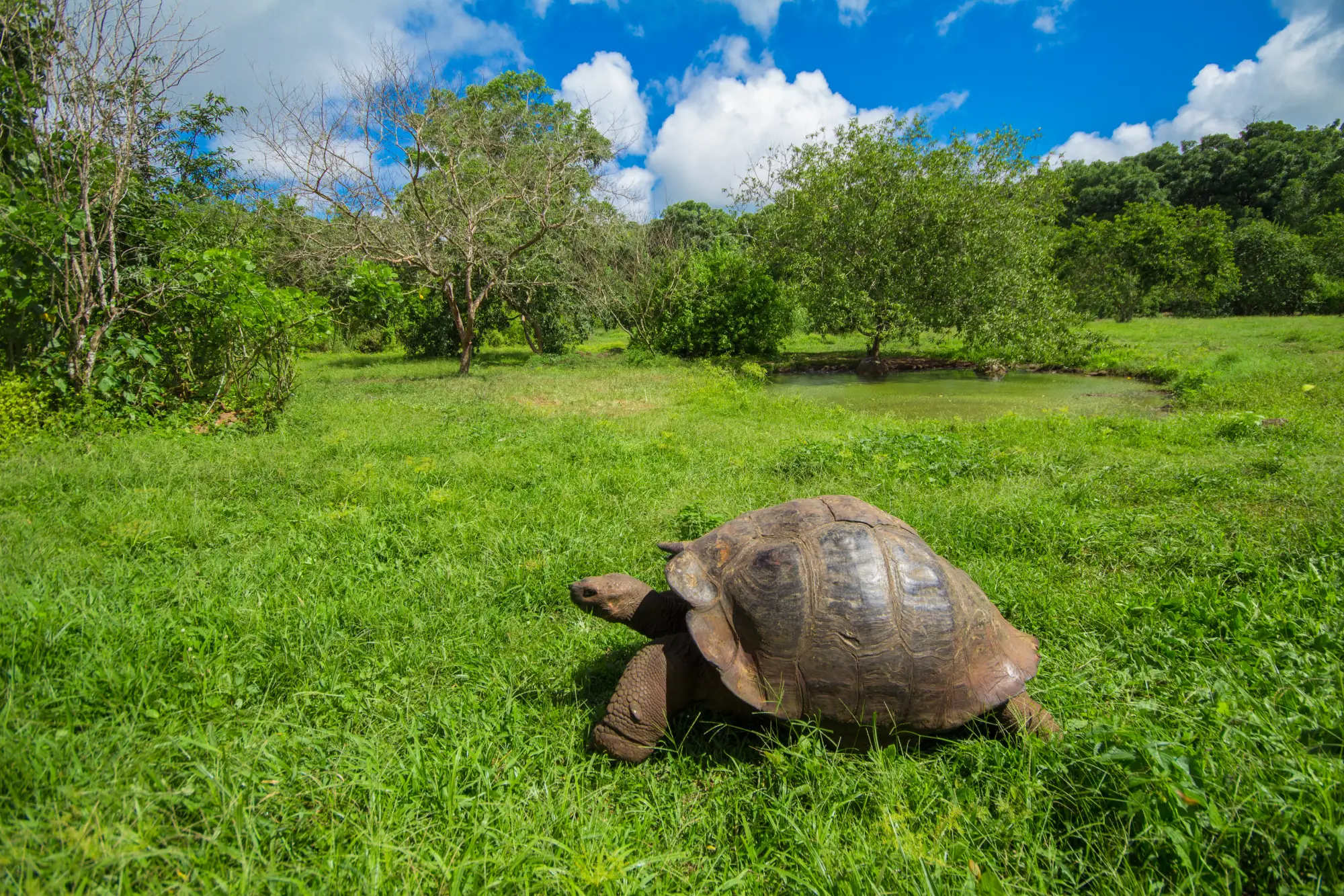 Aventura en las Galápagos