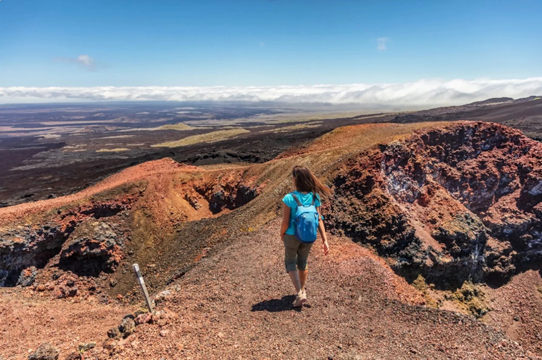 Galapagos Island Hopping + Snorkeling Tour  11D/10N