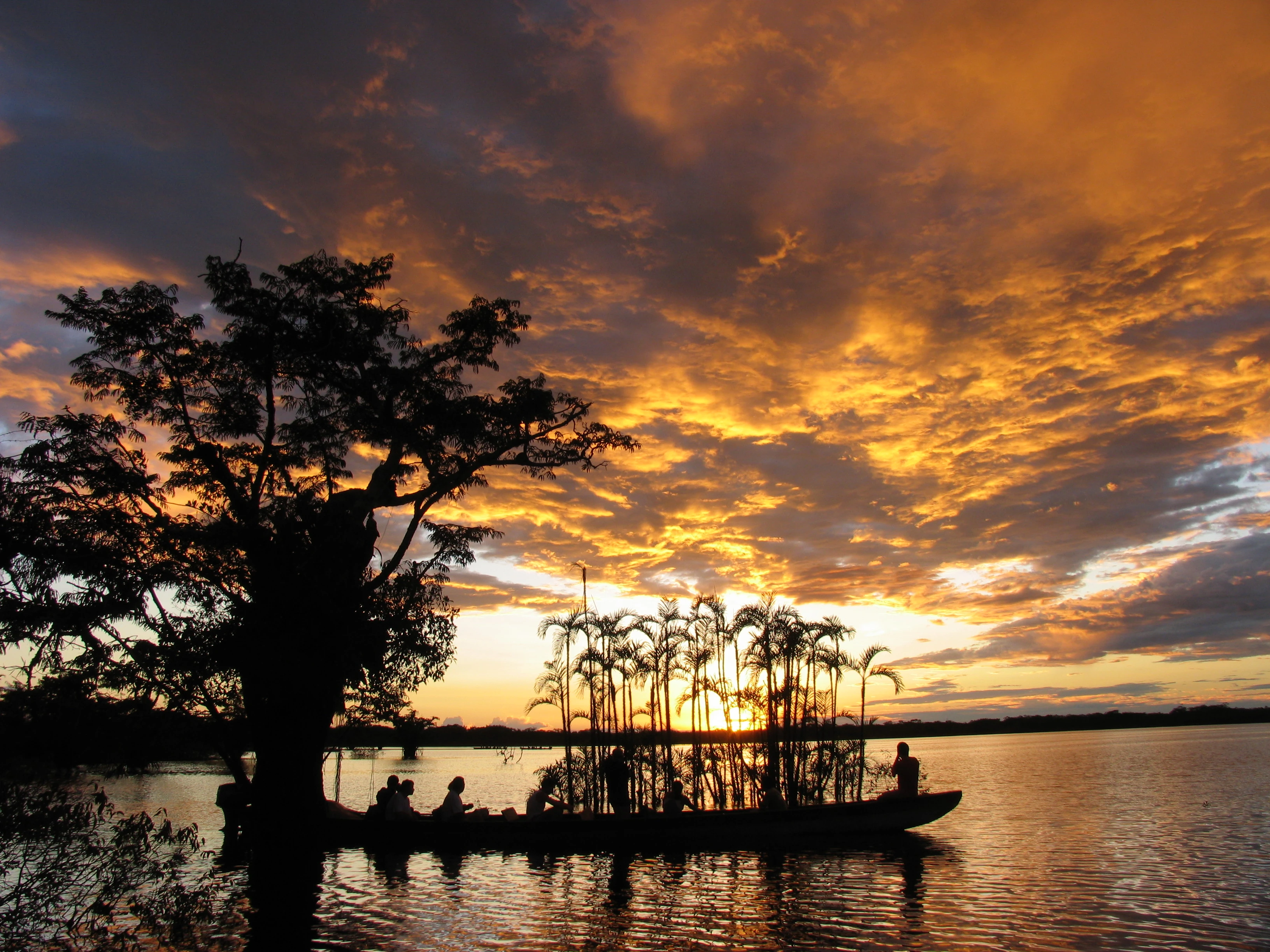 Amazon  Exploration in Cuyabeno 5D/4N