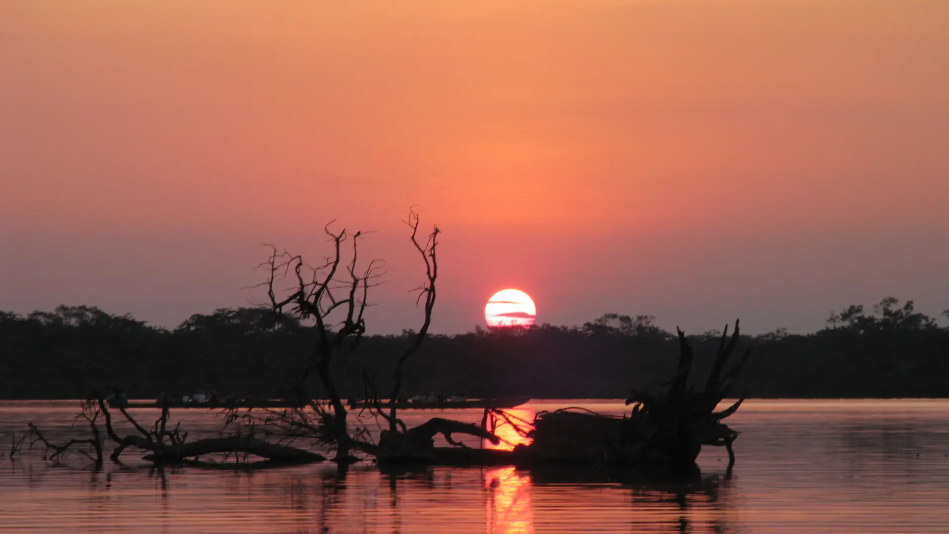 Cuyabeno Wildlife Reserve