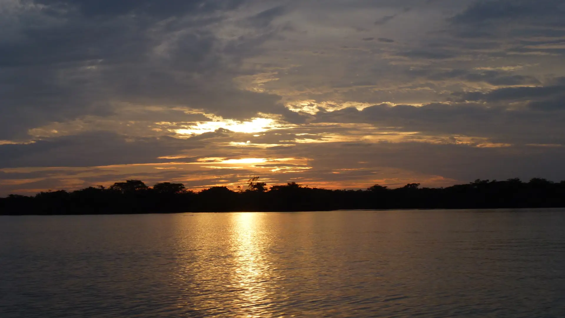 Cuyabeno Wildlife Reserve