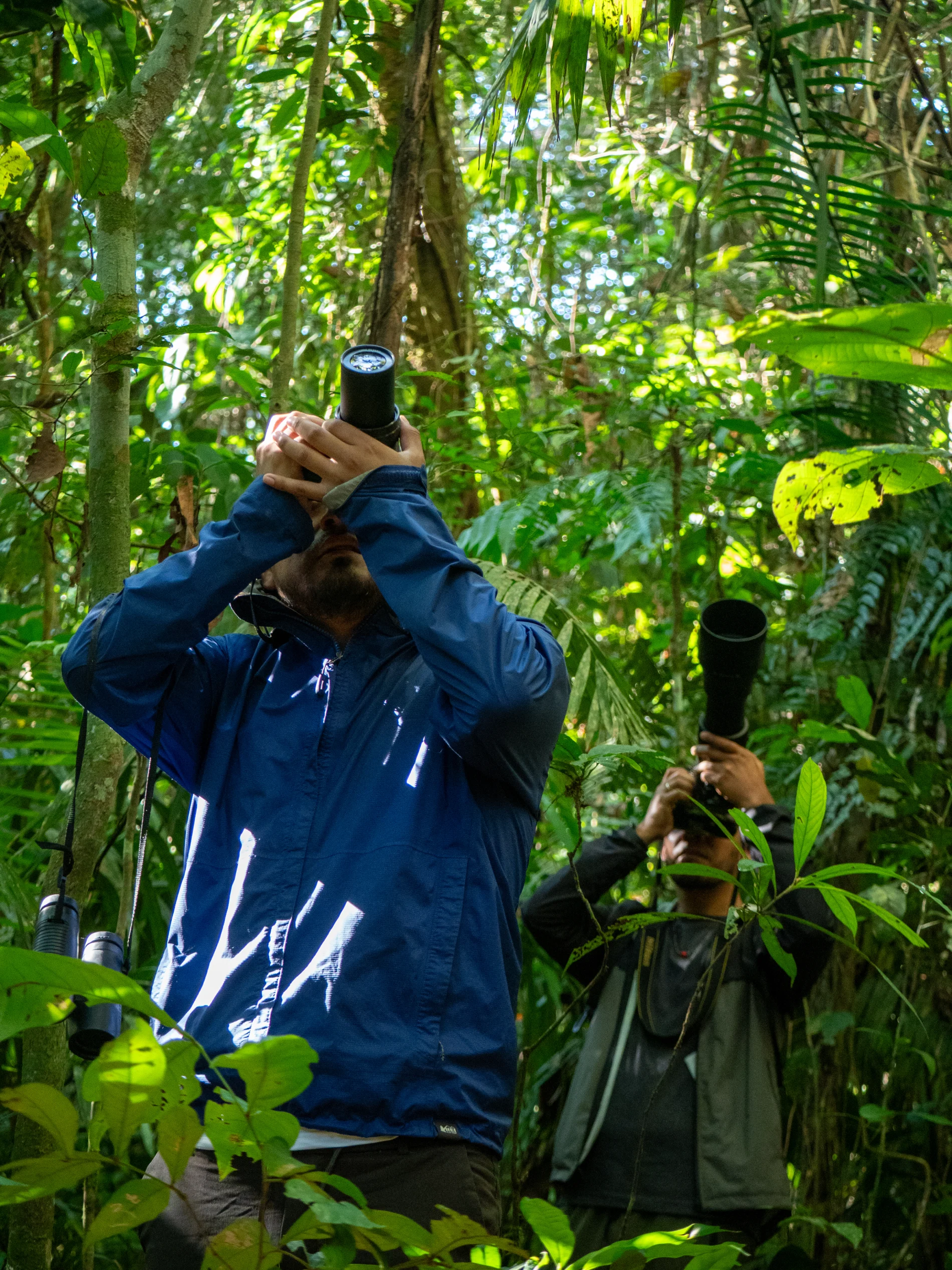 Abenteuer in Cuyabeno 4D/5N