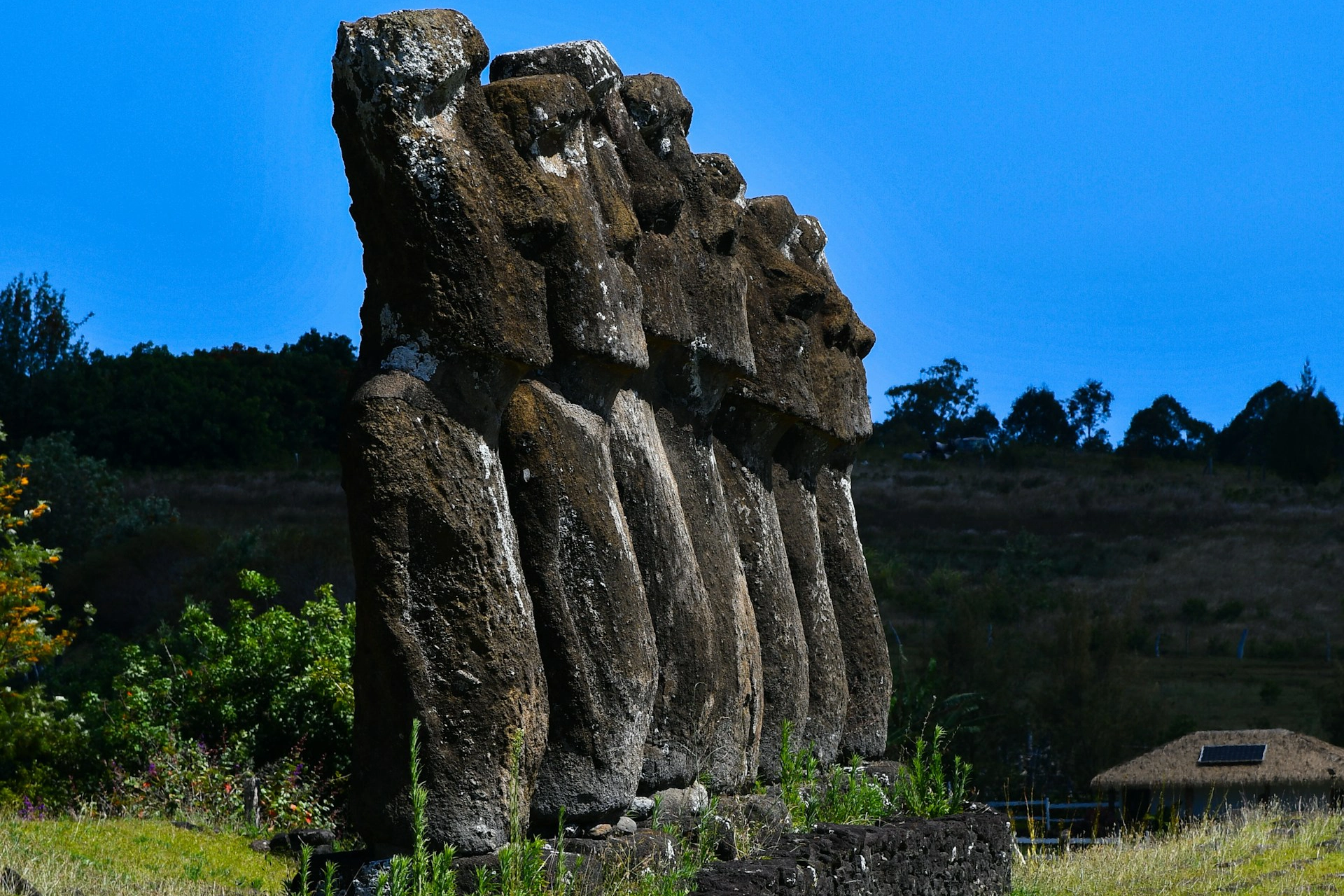 Ahu Akivi
