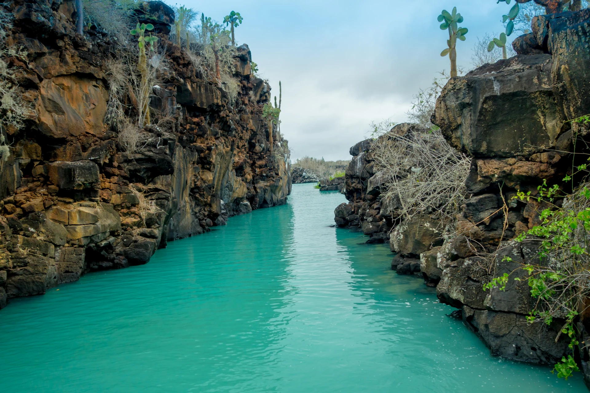 Galapagos Island Hopping 7D/6N