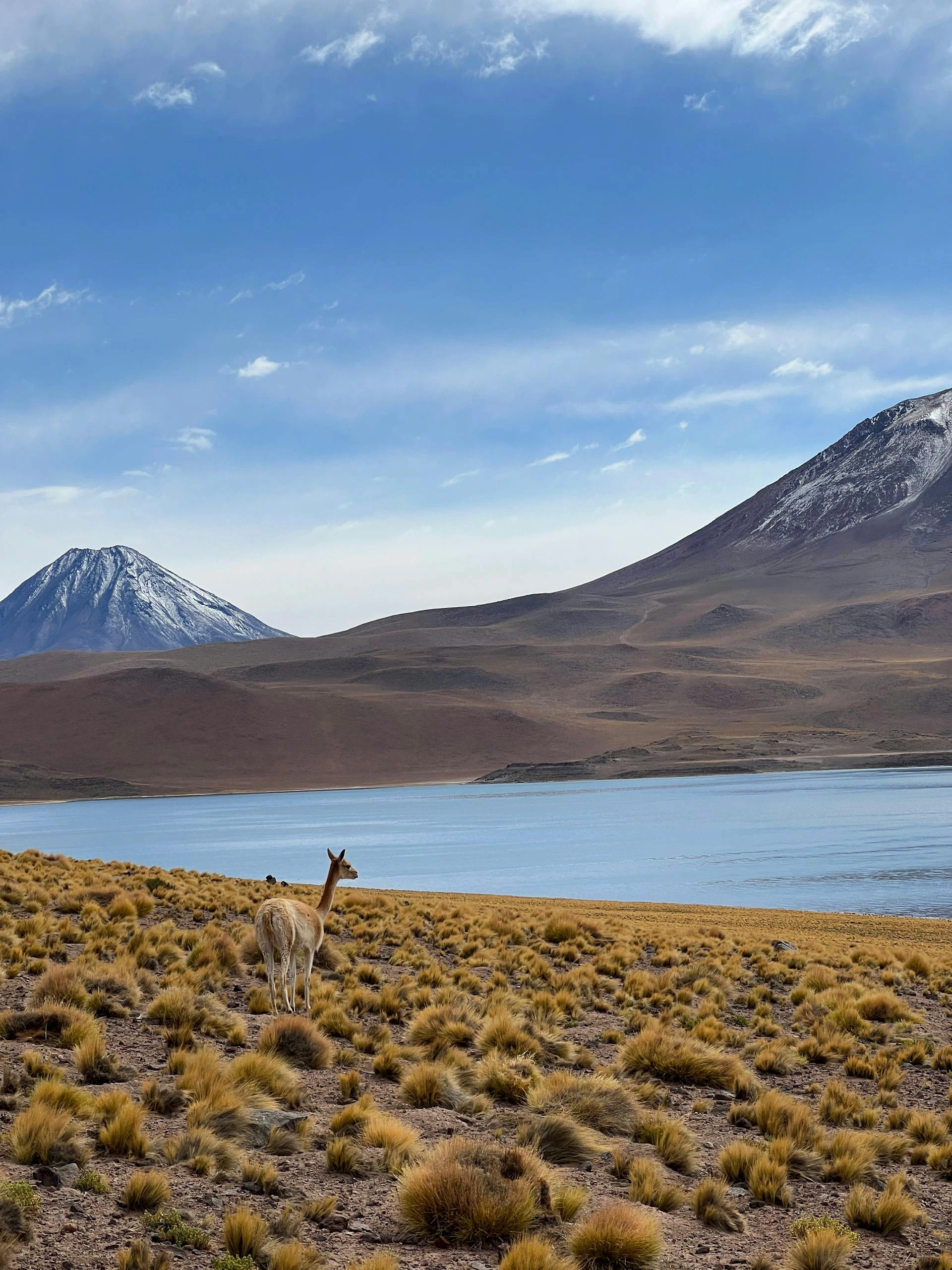 Atacama-Region 5 Tage Aktive Vulkane und Wanderwege