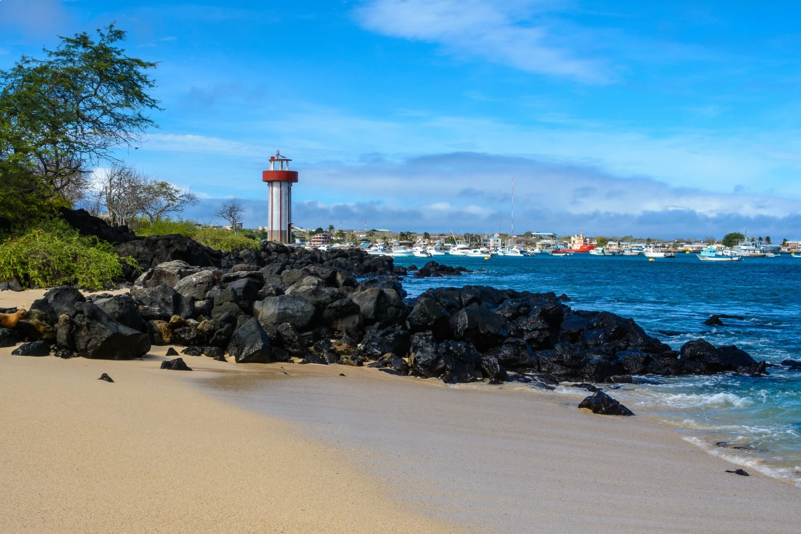 Galápagos Island Hopping  11 D/ 10 N