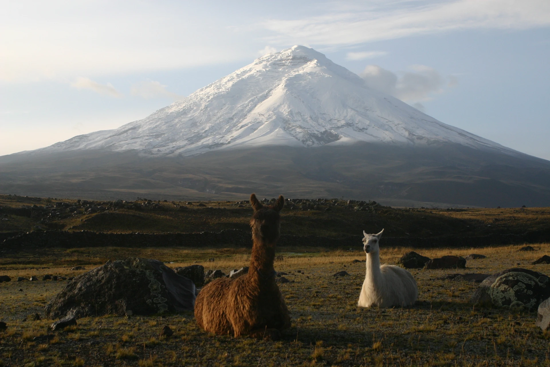 Equador 7 dias – Vida selvagem, cultura e aventura na parte continental