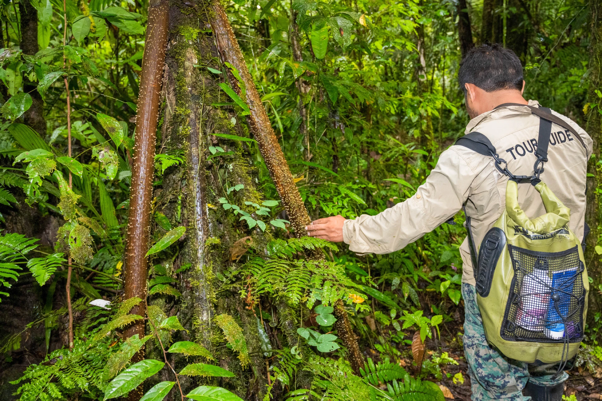 Ecuadorian Amazon Spirit 5 Days