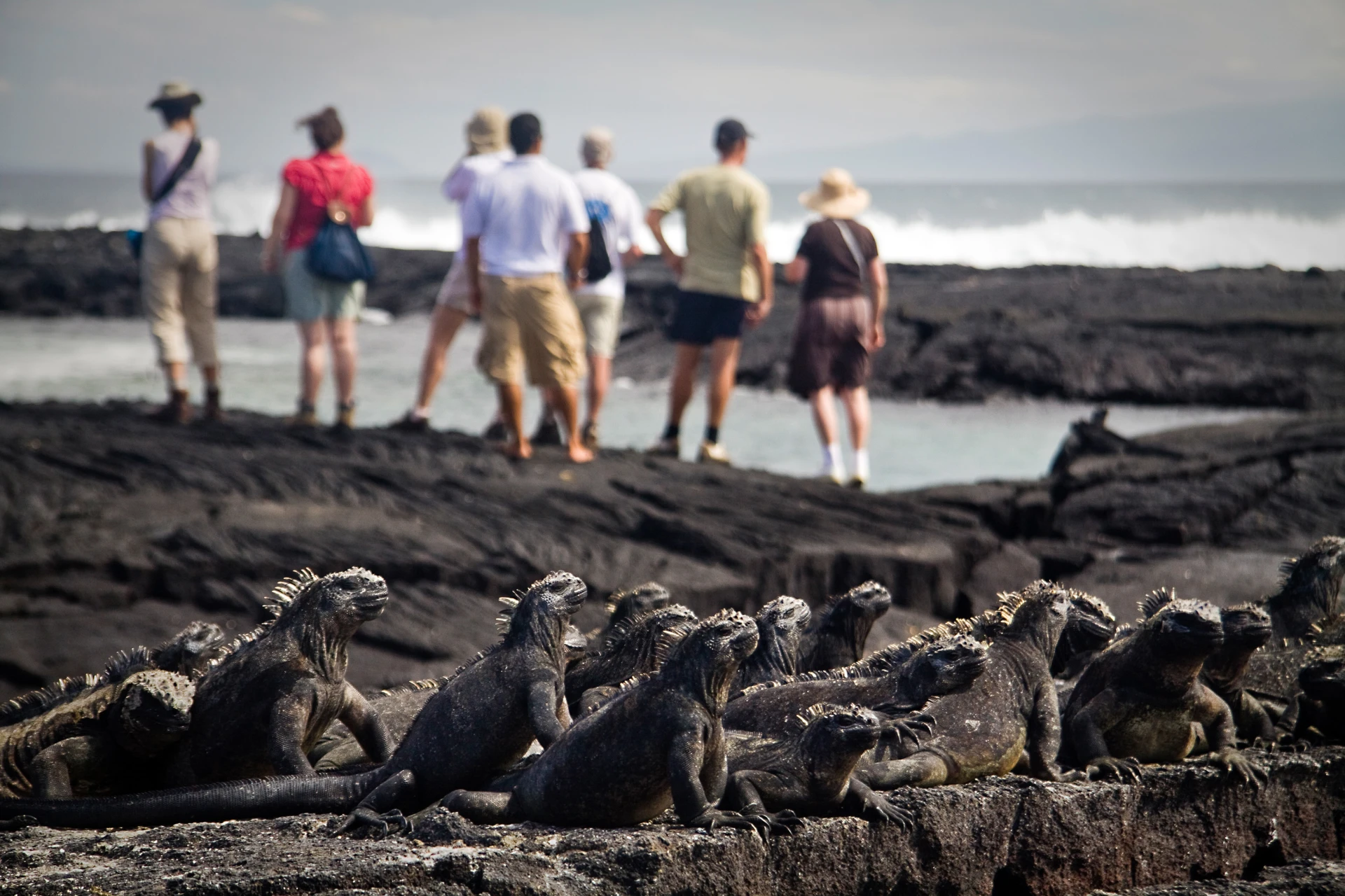Islas Galápagos 5D/4N
