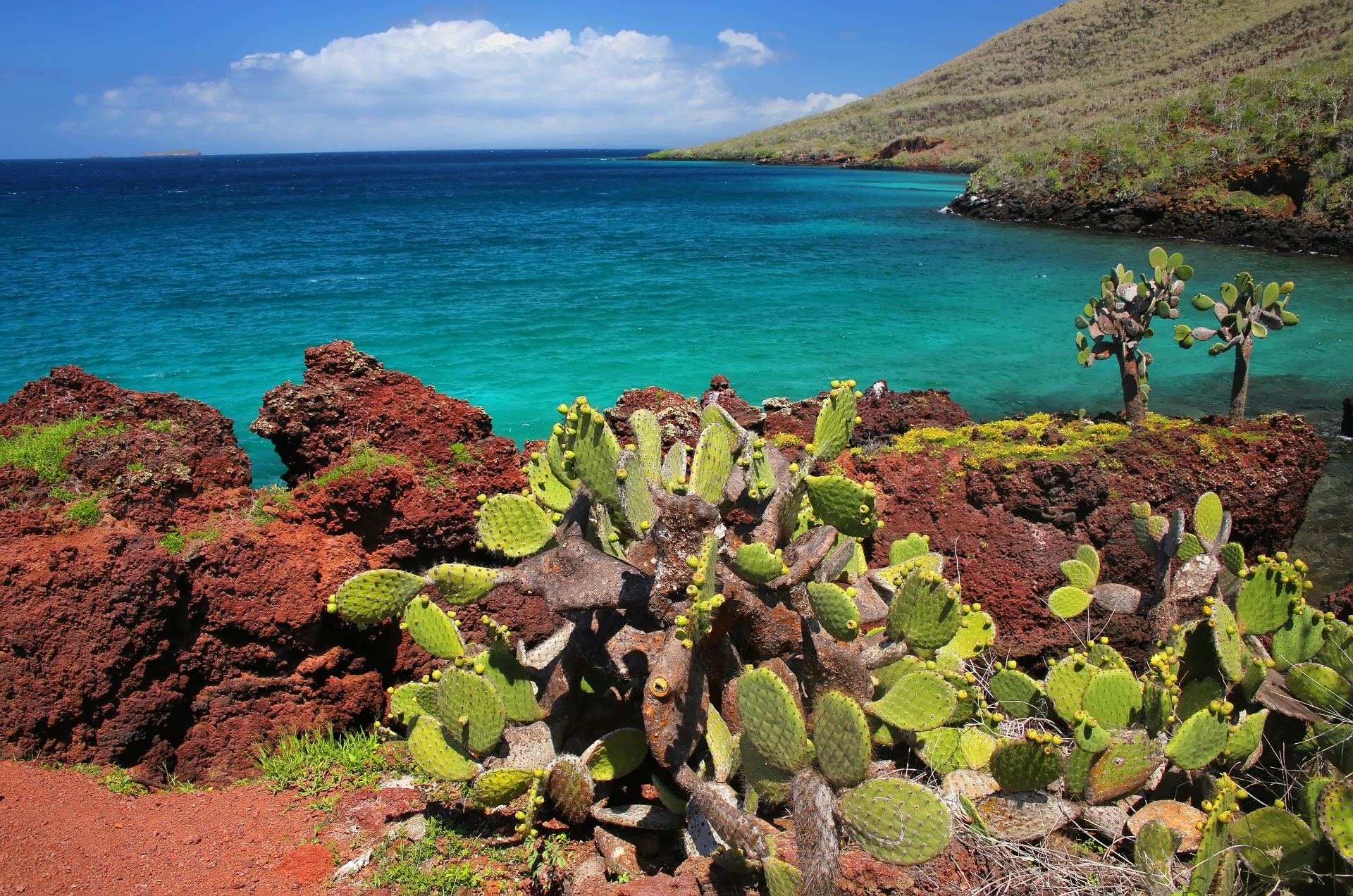M/C Endemic - Itinerary F 6 days / 5 nights