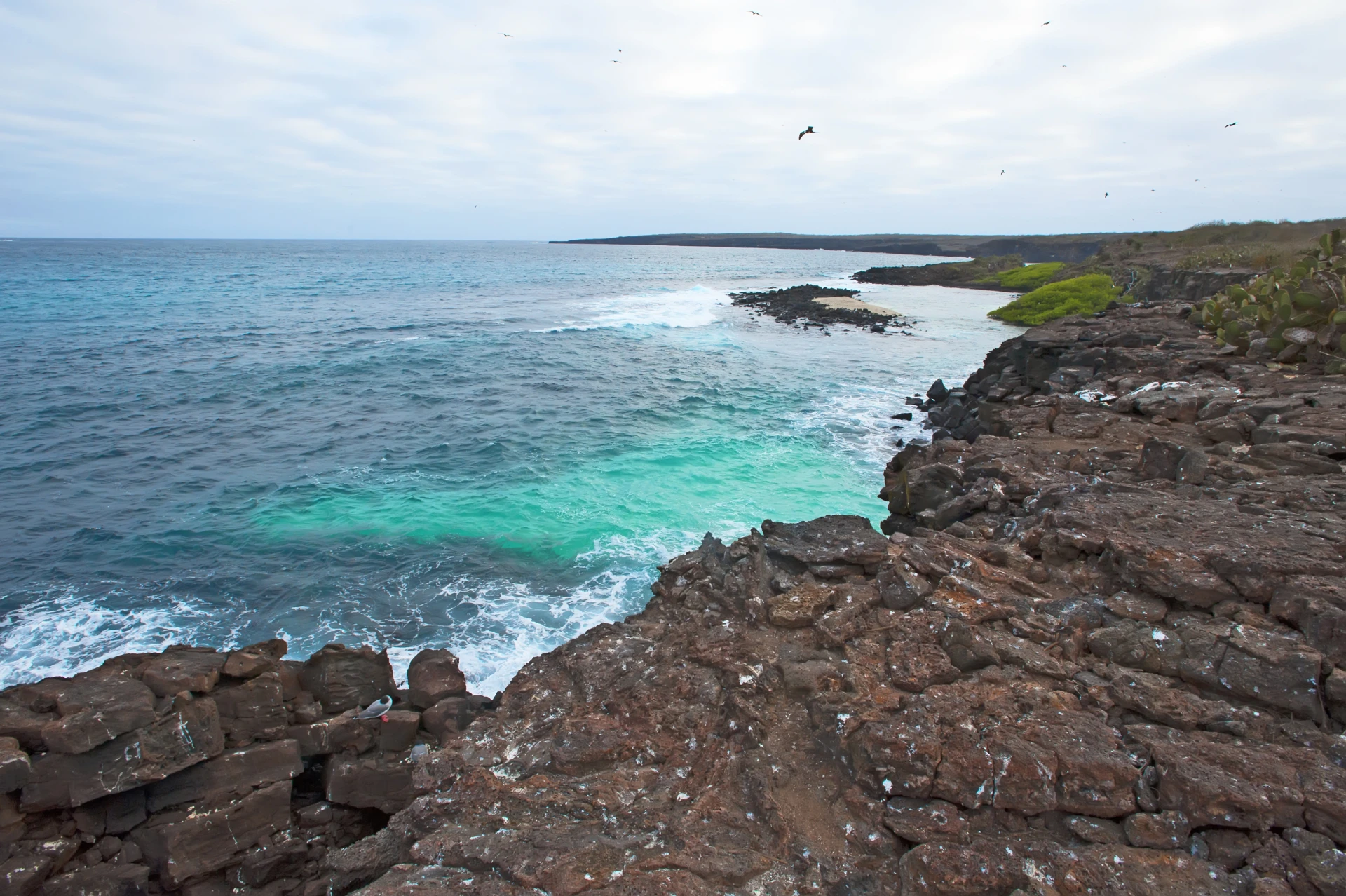 Passeio pelas Ilhas Galápagos 5D/4N
