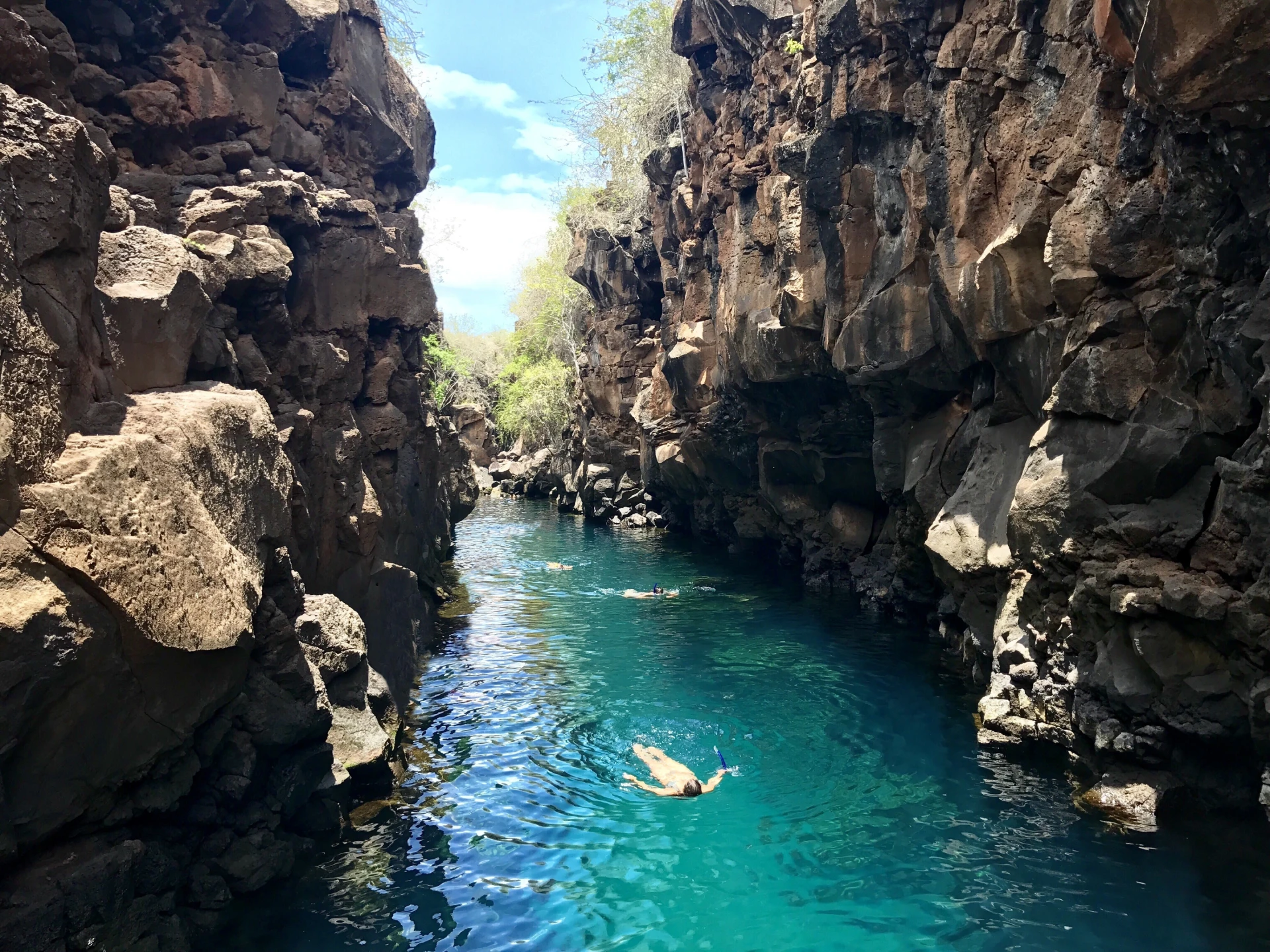 Santa Cruz