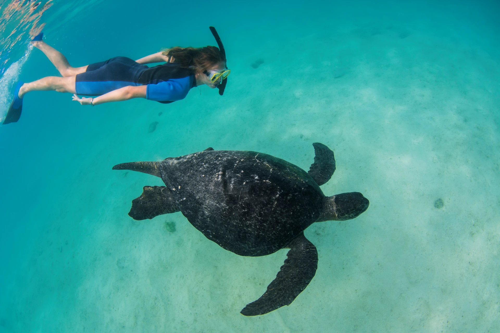 Galápagos 4D/3N