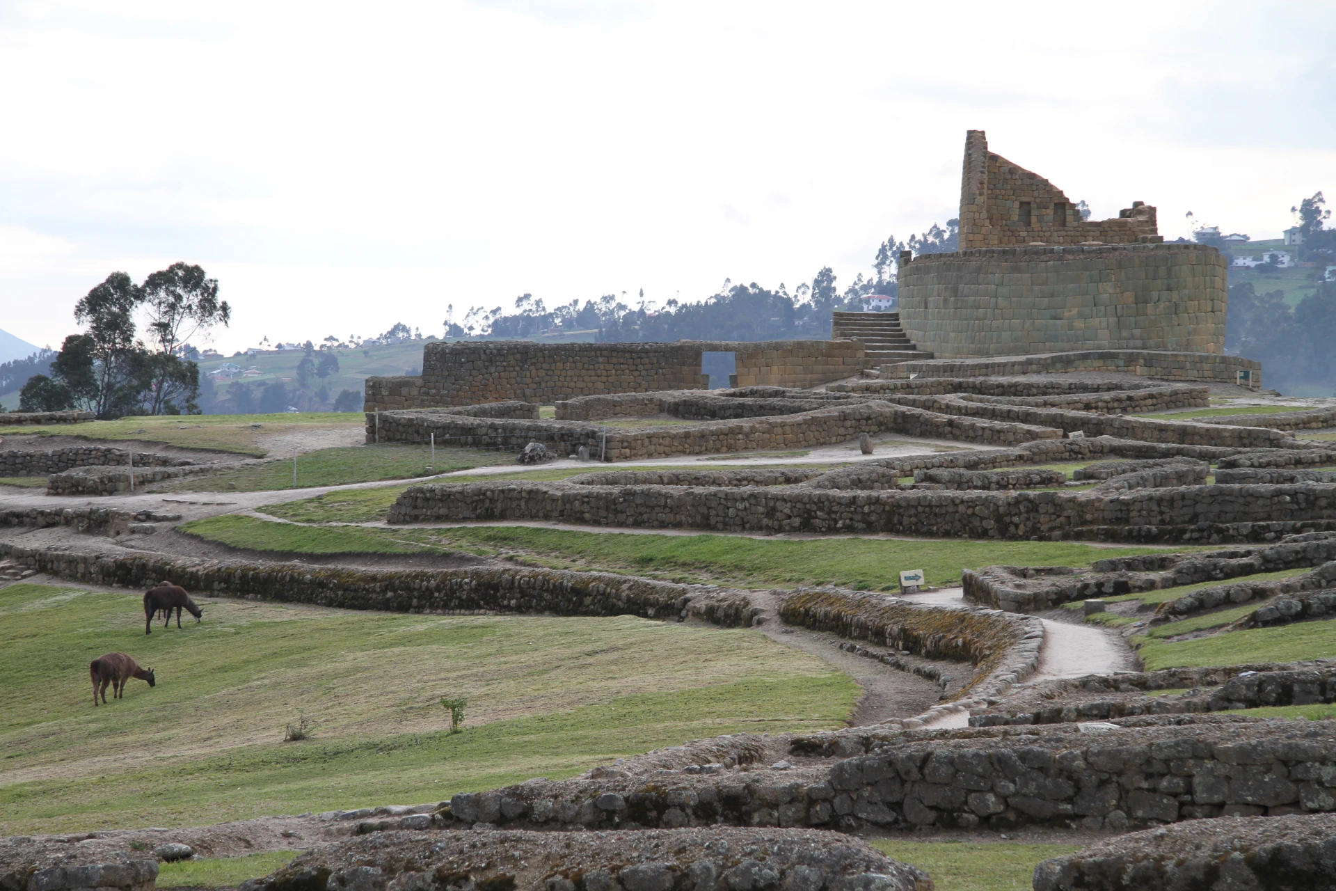 Ingapirca Ruins