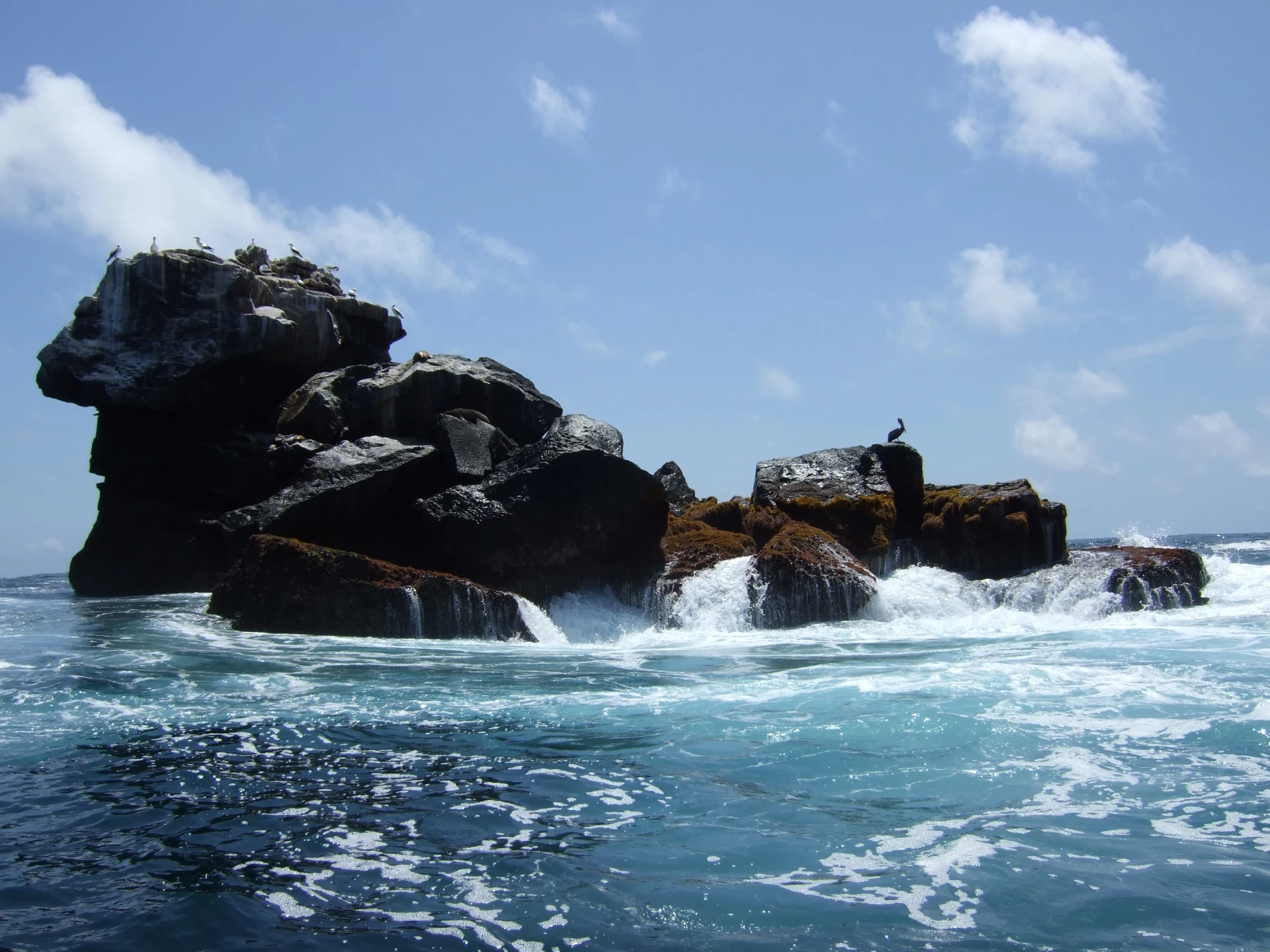 Galapagos Experience 15 Days